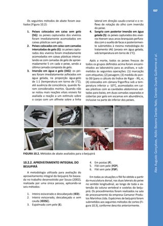 AlexAugustoGonçalves,AbílioBezerraDantasNeto,DanieleDuarteGuilhermeetal.
157
Os seguintes métodos de abate foram ava-
liados (Figura 10.2):
1.	 Peixes colocados em caixa sem gelo
(SG): os peixes capturados dos viveiros
foram imediatamente acomodados em
caixas plásticas sem gelo.
2.	 Peixes colocados em caixa com camadas
intercaladas de gelo (G): os peixes captu-
rados dos viveiros foram imediatamente
acomodados em caixas plásticas interca-
lando-se com camadas de gelo de aproxi-
madamente 5 cm cada e peixe, sendo a
última camada composta de gelo.
3.	 Imersão em água e gelo (IAG): os pei-
xes foram imediatamente asfixiados em
água gelada, na proporção água:gelo
de 1:1 (temperatura em torno de 1°C),
até ausência de consciência, quando fo-
ram considerados mortos. Quando não
se notou mais reações vitais visíveis foi
avaliada a reação a um estímulo sobre
o corpo com um alfinete sobre a linha
lateral em direção caudo-cranial e o re-
flexo de rotação do olho com inversão
do peixe.
4.	 Sangria com posterior imersão em água
gelada (S): os peixes capturados dos vivei-
ros tiveram seus arcos branquiais perfura-
doscomoauxíliodefacaseposteriormen-
te submetidos à mesma metodologia do
tratamento IAG (anoxia em água gelada,
sob temperatura em torno de 1°C).
Após a morte, todos os peixes frescos de
todos os grupos definidos acima foram encami-
nhados ao laboratório para as análises, e sub-
metidos às seguintes operações: (1) marcação
com etiquetas; (2) pesagem; (3) medida do pon-
to D0 (para o cálculo do Índice de Rigor - IR), e;
(4) colocados em câmara frigorífica sob a tem-
peratura inferior a -10°C, acomodados em cai-
xas plásticas com as cavidades abdominais vol-
tadas para baixo, em duas camadas separadas e
cobertas por gelo em escamas em abundância,
inclusive na parte de inferior dos peixes.
FIGURA 10.2. Métodos de abate avaliados para o beijupirá
10.2.2. APROVEITAMENTO INTEGRAL DO
BEIJUPIRÁ
A metodologia utilizada para avaliação do
aproveitamento integral do beijupirá foi basea-
da no trabalho desenvolvido por Souza (2002),
realizada por uma única pessoa, aplicando-se
seis métodos:
1.	 Inteiro eviscerado e descabeçado (IED).
2.	 Inteiro eviscerado, descabeçado e sem
cauda (IEDSC).
3.	 Espalmado com pele (E).
4.	 Em postas (P).
5.	 Filé com pele (FCP).
6.	 Filé sem pele (FSP).
Em todas as situações o filé foi obtido a partir
da musculatura dorsal, nas duas laterais do peixe
no sentido longitudinal, ao longo de toda a ex-
tensão da coluna vertebral e costelas do beiju-
pirá. Os procedimentos foram realizados na sala
de processamento da empresa Camanor Produ-
tos Marinhos Ltda. Espécimes de beijupirá foram
submetidos aos seguintes métodos de cortes (Fi-
gura 10.3), conforme descrito anteriormente.
 