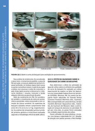 RENDIMENTODECORTESEQUALIDADEDACARNEDOBEIJUPIRÁ,Rachycentroncanadum,
SUJEITOADIFERENTESGRADIENTESDESALINIDADEDAÁGUADECULTIVO
158
FIGURA 10.3. Abate e cortes do beijupirá para avaliação do aproveitamento.
Para análise do rendimento, foi considerado
o peso total, o comprimento padrão, o peso do
filé sem pele, o músculo abdominal ventral e hi-
paxial profundo, os resíduos (peso total menos
as partes comestíveis totais), a pele bruta (após
a esfola, com escamas e restos de músculos), a
pele limpa (após escamar e descarnar) e o des-
carne (resíduos = escama, músculos e tecido
adiposo referente ao peso bruto da pele).
Além do rendimento em filé, foi considera-
do também, o rendimento do corte em postas,
inteiro eviscerado, inteiro eviscerado e com re-
moção da coluna vertebral. Os espécimes de
beijupirá avaliados tinham comprimento total
entre 43 e 55 cm (1,3 a 1,7 kg, respectivamen-
te). As análises de composição química (umida-
de, proteína, gordura e cinzas) foram realizadas
seguindo a metodologia oficial da AOAC (2011).
10.2.3. EFEITO DA SALINIDADE SOBRE A
QUALIDADE DA CARNE DO BEIJUPIRÁ
Para determinar o efeito da salinidade da
água de cultivo sobre os atributos da qualidade
da carne do beijupirá foi realizado um cultivo
experimental da espécie no Setor de Aquicul-
tura da Universidade Federal Rural do Semiári-
do (UFERSA), Mossoró, RN. Os juvenis de bei-
jupirás foram adquiridos da Fazenda Aratuá
(Camanor Produtos Marinhos Ltda., Guamaré,
RN) e transportados em caixas térmicas, do tipo
Transfish (Bernauer Aquacultura Ltda., Indaial,
SC), de Guamaré até Mossoró. Após a aclima-
tação em tanque de alvenaria na salinidade 35
g/L por cinco dias, os peixes foram estocados
nas unidades experimentais de cultivo.
Foram utilizadas 24 caixas plásticas, circula-
res, com tampa e capacidade de 1 m3
, dotadas
de aeração com pedras porosas e filtro biológi-
 