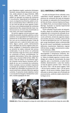 APROVEITAMENTODAPELEDOBEIJUPIRÁCULTIVADO,Rachycentroncanadum,VISANDOAGREGAÇÃODEVALOR
200
gico (Piptadenia rigida), quebracho (Schinopsis
lorentzii), mimosa (Acacia decurens), entre ou-
tros, sendo solúveis em água (Hoinacki, 1989;
Souza, 2004). Tal como o cromo, os taninos
podem ser aplicados nas etapas de curtimento
e recurtimento. Dependendo da finalidade do
couro, na etapa do recurtimento, podem ser da-
das as características finais e diferentes ao cou-
ro, por meio da ação de novos agentes curten-
tes, como uma complementação do curtimento
propriamente dito, proporcionando maior ma-
ciez ao couro ou um couro mais encartonado ou
mais cheio, com menor elasticidade.
Os taninos vegetais normais possuem capa-
cidade de precipitar alcaloides, gelatina e outras
proteínas. Essa capacidade de interação com as
proteínas foi um dos fatores que levou há sécu-
los o seu uso no curtimento de peles. O tipo de
reação varia com a razão do tanino para a pro-
teína. Alguns autores, porém, demonstraram
que a afinidade dos taninos vegetais pelas pro-
teínas (colágeno) é diretamente proporcional
ao tamanho da cadeia molecular dos taninos
condensados. O uso do tanino no curtimento
vem tomando o lugar do cromo, que é utilizado
no curtimento na forma, principalmente, he-
xavalente (dicromatos), forma esta, altamente
tóxica para o homem (Pott & Pott, 1994). Por-
tanto, o fato de utilizar no recurtimento agen-
tes curtentes menos tóxicos, promove uma re-
dução de seu uso no processo de curtimento.
Como resultado, torna-se também importante
à avaliação da qualidade de resistência das pe-
les depois de submetidas ao processo de curti-
mento onde foram utilizados diferentes agentes
curtentes. O presente estudo objetivou avaliar
o uso da pele do beijupirá, Rachycentron cana-
dum, visando agregação de valor.
12.2. MATERIAL E MÉTODOS
As peles do beijupirá foram utilizadas como
subproduto visando agregação de valores. O
processo de curtimento das peles de beijupirá
foi realizado no Laboratório de Processamento
de Peles de Peixes e demais Espécies de Peque-
no e Médio Porte, da Universidade Estadual de
Maringá, localizado na Fazenda Experimental
de Iguatemi (Maringá, PR).
Foram utilizados 4 kg de peles de beijupirá.
As peles, depois de retiradas dos peixes foram
congeladas até o momento de realização do ex-
perimento. O material foi submetido ao proces-
so de curtimento, através das seguintes etapas:
pré-remolho, descarne, remolho, caleiro (1% de
cal, 8% de dermaphel plus por 3 h), desencala-
gem, purga, desengraxe, piquel, curtimento (8%
de sais de cromo), neutralização, recurtimento
(diferentes tratamentos), tingimento, engraxe
(10% de óleo), secagem, amaciamento e acaba-
mento (Hoinacki, 1989).
Para iniciar o processamento, as peles foram
descongeladas à temperatura ambiente, des-
carnadas e pesadas antes de iniciar o curtimen-
to. Todas as unidades seguiram a mesma meto-
dologia até a etapa de neutralização. Na etapa
seguinte, para o recurtimento, as peles foram
divididas aleatoriamente e cada lote recebeu
um tipo de agente curtente: Trat1 = 4% de sais
de cromo; Trat2 = 4% de tanino vegetal; Trat3
= 4% de tanino sintético; Trat4 = 2% de tanino
vegetal + 2% de tanino sintético. Depois foram
efetuadas as demais etapas até a finalização do
processamento, conforme citado anteriormen-
te (Figura 12.1).
A B
FIGURA 12.1. Peles de beijupirá na etapa de caleiro (A) e pele intumescida da etapa de caleiro (B).
 
