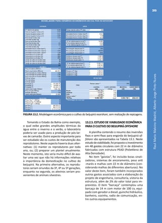 RaulMarioMalvinoMadrid,AlbertoJorgePintoNunes
215
FIGURA 13.2. Modelagem econômica para o cultivo do beijupirá nearshore, sem realização de repicagens.
Tomando o Estado da Bahia como exemplo,
o qual exibe grandes amplitudes térmicas da
água entre o inverno e o verão, o laboratório
poderia ser usado para a produção de pós-lar-
vas de camarão. Outro aspecto importante para
ser estudado são os custos de manutenção dos
reprodutores. Neste aspecto haveria duas alter-
nativas: (1) manter os reprodutores por todo
ano, ou; (2) preparar um plantel anualmente.
Neste momento, isto seria muito difícil de ava-
liar uma vez que não há informações relativas
à importância da domesticação no cultivo do
beijupirá. Na primeira alternativa, os reprodu-
tores seriam oriundos da 3ª, 4ª ou 5ª gerações,
enquanto na segunda, os alevinos seriam pro-
venientes de animais silvestres.
13.2.5.ESTUDODEVIABILIDADEECONÔMICA
PARAOCULTIVODOBEIJUPIRÁOFFSHORE
A planilha contendo o resumo das inversões
fixas e semi-fixas para engorda do beijupirá of-
fshore são apresentados na Tabela 13.1. Neste
estudodeviabilidade,foipropostooinvestimento
em 48 gaiolas circulares com 22 m de diâmetro
fabricadas com estrutura PEAD (Polietileno de
Alta Densidade).
No item “gaiolas”, foi incluído boias sinali-
zadoras, sistemas de ancoramento, peso anti
-marés e malhas com 22 m de diâmetro (con-
siderando malhas de diferentes aberturas). No
valor deste item, foram também incorporados
outros gastos associados com a elaboração do
projeto de engenharia, consultoria, vistoria da
estrutura, além de 2% do valor total para im-
previstos. O item “barcaça” contemplou uma
barcaça de 14 m com motor de 100 cv, equi-
pado com gerador a diesel, guincho hidráulico,
banheiro, cozinha, radio de comunicação, en-
tre outros equipamentos.
 