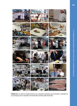 RaulMalvinoMadrid,VictorPerezCastaño,RolandCarlosWiefelsetal.
229
AA A
AA A
BB B
BB B
CC C
CC C
FIGURA 14.1. As oficinas de gastronomia com o beijupirá cultivado, para promoção e avaliação de
sua aceitação, foram realizadas em Brasília (A), Fortaleza, (B) e Recife (C).
 