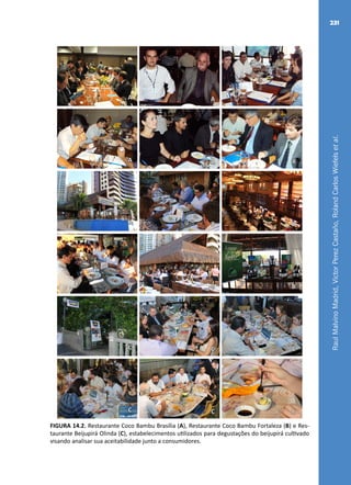 RaulMalvinoMadrid,VictorPerezCastaño,RolandCarlosWiefelsetal.
231
AA A
AA A
BB B
BB B
CC C
CC C
FIGURA 14.2. Restaurante Coco Bambu Brasília (A), Restaurante Coco Bambu Fortaleza (B) e Res-
taurante Beijupirá Olinda (C), estabelecimentos utilizados para degustações do beijupirá cultivado
visando analisar sua aceitabilidade junto a consumidores.
 