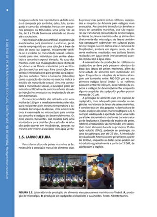 OCULTIVODEPEIXESMARINHOSTROPICAIS,COMÊNFASENOBEIJUPIRÁ,Rachycentroncanadum
8
da água e a dieta dos reprodutores. A dieta úmi-
da é composta por sardinha, ostra, lula, caran-
guejo e camarão, ofertados frescos em peque-
nos pedaços ou triturados, uma única vez ao
dia, de 3 a 5% da biomassa estocada ao dia ou
até a saciedade.
Para realizar a desova artificial, os peixes são
anestesiados para minimizar o estresse, geral-
mente empregando-se uma solução a base de
óleo de cravo ou Eugenol. Inicialmente verifi-
ca-se o estádio de maturidade sexual, selecio-
nando para isto, indivíduos com ventre abau-
lado e tamanho corporal elevado. No caso dos
machos, estes são massageados para liberação
de sêmen e as fêmeas canuladas para verifica-
ção dos ovócitos em lupa. Para canulação, uma
sonda é introduzida no poro genital para aspira-
ção dos ovócitos. Tanto o tamanho (diâmetro)
como a posição do núcleo no ovócito indica o
estádio de maturidade sexual. Uma vez consta-
tada a maturidade sexual, a ovulação pode ser
induzida artificialmente com hormônios através
de injeção intramuscular ou implantação de pe-
llets hormonais.
Os ovos fecundados são retirados com uma
malha de 150 µm e imediatamente transferidos
para recipientes com mesma temperatura e sa-
linidade do tanque de desova. Uma amostra de
ovos é examinada no microscópio para análise
do tamanho e estágio de desenvolvimento. Os
ovos viáveis, flutuantes, são levados para uma
incubadora para desinfecção e eclosão. A eclo-
são pode ocorrer em incubadoras, tanques ou
mesmo em viveiros escavados com água verde.
1.5. LARVICULTURA
Para a larvicultura de peixes marinhos se faz
necessário à produção massal de alimento vivo.
As presas vivas podem incluir rotíferos, copépo-
dos e náuplios de Artemia para estágios mais
avançados. Ao contrário de moluscos bivalves e
larvas de camarões marinhos, que são regula-
res ou transitórios consumidores de microalgas,
as larvas de peixes marinhos não se alimentam
diretamente das microalgas. As larvas também
não conseguem sobreviver em culturas puras
de microalgas ou com dietas a base exclusiva de
fitoplâncton, embora em alguns casos, se ob-
serva melhores resultados nos cultivos larvais
realizados em água verde (mesocosmos) quan-
do comparado à água clara.
A necessidade de produção de rotíferos ou
copépodos se deve pela pequena abertura da
boca das larvas de peixes marinhos, além da
necessidade de alimento com mobilidade em
água. Enquanto os náuplios de Artemia alcan-
çam um tamanho entre 400-500  µm no seu
primeiro estágio larval (Instar I), os rotíferos
possuem entre 90-350 µm, dependendo da es-
pécie e estágio de desenvolvimento, enquanto
algumas espécies de copépodos podem possuir
menos de 70 µm.
A produção de alimento vivo, em especial de
copépodos, mais adequado para atender as exi-
gências nutricionais de larvas de peixes marinhos,
é considerada um dos gargalos na larvicultura de
muitas espécies de peixes marinhos (Figura 1.2). A
nutrição inadequada é apontada como uma razão
para baixa sobrevivência das larvas durante a eta-
pa de larvicultura. Dependo da espécie de peixe,
rotíferos enriquecidos são fornecidos em labora-
tório como alimento durante os primeiros 15 dias
após eclosão (DAE), podendo se prolongar, no
caso das garoupas, por até 25 dias. A introdução
de náuplios de Artemia ocorre geralmente a partir
do 10 DAE, enquanto as dietas secas podem ser
introduzidas gradualmente a partir do 15 DAE, de
acordo com a espécie.
A B
FIGURA 1.2. Laboratório de produção de alimento vivo para peixes marinhos no Vietnã. A, produ-
ção de microalgas. B, produção de copépodos ciclopóides e calanóides. Fotos: Alberto Nunes.
 