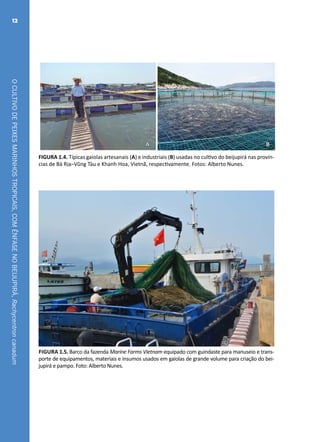 OCULTIVODEPEIXESMARINHOSTROPICAIS,COMÊNFASENOBEIJUPIRÁ,Rachycentroncanadum
12
A B
FIGURA 1.4. Típicas gaiolas artesanais (A) e industriais (B) usadas no cultivo do beijupirá nas provín-
cias de Bà Rịa–Vũng Tàu e Khanh Hoa, Vietnã, respectivamente. Fotos: Alberto Nunes.
Figura 1.5. Barco da fazenda Marine Farms Vietnam equipado com guindaste para manuseio e trans-
porte de equipamentos, materiais e insumos usados em gaiolas de grande volume para criação do bei-
jupirá e pampo. Foto: Alberto Nunes.
 