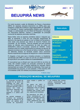 Foi muito louvável a ação do Ministério da Pesca e Aquicultura
(MPA) de repassar recursos financeiros ao CNPq para que,
mediante o Edital MCT/CNPq/CT-Agronegócio/MPA No
036/2009,
na Chamada 2, fossem apresentados projetos para estimular a
criação e a estruturação de uma Rede de Pesquisa e Tecnologia
em Piscicultura Marinha, visando a viabilização da produção
comercial de espécies piscícolas marinhas.
Nesse Edital, entre as espécies prioritárias estava o beijupirá que,
aliás, já apresenta o início de uma produção experimental de
alevinos e de engorda em gaiolas no mar no Estado de Pernambuco,
onde existe uma empresa que obteve do Governo Federal uma
concessão de 163 hectares. Deve-se ressaltar que essa empresa
iniciou os trâmites para o licenciamento da área de cultivo em
05/05/2006 e obteve a concessão somente em 14/08/08. Outras
iniciativas ainda em caráter experimental de produção de alevinos de
beijupirá encontram-se no Rio Grande do Norte e na Bahia. Também,
em diferentes Estados do Nordeste existem vários produtores
fazendo experiências de engorda de beijupirá em viveiros escavados.
É chegada a hora para que a iniciativa privada e a Academia,
coordenada pelo MPA, se unam em prol de um desenvolvimento
da aquicultura com pilares sólidos de sustentabilidade.
È inconcebível que no Brasil com mais de 8.500 km de linha de
costa não existam projetos de produção comercial de peixes
marinhos, mesmo com o grande potencial do mercado interno
representado por quase 200 milhões de habitantes. Para suprir as
necessidades de consumo, no ano passado, o País importou 244
mil toneladas (US$ 720 milhões) de produtos pesqueiros.
R. Madrid—Editor
PRODUÇÃO MUNDIAL DE BEIJUPIRÁ
A produção mundial de
beijupirá foi de 40,34 mil
toneladas em 2007, das
quais 74% correspondem à
produção aquícola e 26% à
pesca. Em 1998, a
aquicultura respondia com
14% da produção de
beijupirá e a pesca com
86%.
No período analisado o
aumento da produção
mundial de beijupirá foi de
493%, em grande parte
oriunda da aquicultura,
como mostra o gráfico ao
lado.
Na pesca, em 2007, o
Paquistão e as Filipinas se
destacaram como os maiores
produtores, com 2,2 mil
toneladas cada. O Brasil, nesse
ano, capturou 635 toneladas.
Na aquicultura, em 2007, a
China sobressaiu-se com
86,6% da produção aquícola,
seguida de Taiwan com
13,4%. Destaca-se que antes
de 2003, a produção de
BEIJUPIRÁ NEWS
Nesta edição:
Editorial
Produção mundial
de beijupirá
1
Entrevista 2
O que o beijupirá
tem?
3
Importação
brasileira de salmão
3
Peixada cearense 4
Maio/2010 ANO 1 No
1
e oito asiáticos têm iniciado
cultivos experimentais ou
produção comercial, ainda
incipiente.
0
5
10
15
20
25
30
35
1998 1999 2000 2001 2002 2003 2004 2005 2006 2007
TMMIL
PRODUÇÃO MUNDIAL DE BEIJUPIRÁ
1998 - 2007
AQUICULTURA PESCAFonte:Fishstat/FAO
 