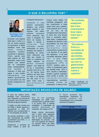 Encontrar uma espécie
ideal para o cultivo é o
que se busca sempre
na aquicultura. A tilápia
satisfazia muito este
i d e a l : e s p é c i e
resistente, prolífica,
econômica e apetitosa.
Porém, quando esse
ideal parecia ter sido
alcançado, surgiu outra
espécie que parece
não só compartilha
essas caracterpisticas,
m a s t a m b é m a
superava. O texto que
segue é uma revisão
bibliográf ica que
objetiva aproximar-nos
ao que parece ser uma
grande protagonista do
futuro.
O beijupirá (Rachycentron
canadum) é uma
espécie cosmopolita,
pelágica, que prefere
águas tropicais e sub-
tropicais. Tem hábito
solitário, raramente
forma cardumes. Seu
corpo é alongado em
forma de torpedo. A
cabeça é grande e
c o m p r i d a . T e m
coloração marrão-
acinzentada no dorso,
prateada nas laterais e
amarelada no ventre.
Outro diferencial que
afeta seu manejo no
cultivo é a ausência de
bexiga natatória. Os
adultos silvestres
atingem uma média de
23 kg, e comprimento
variando entre 50 e 120
cm. Os machos ficam
maduros aos dois anos
de idade e as fêmeas
aos três anos. É um
peixe muito voraz e
d e c i d i d a m e n t e
carnívoro.
Cresce muito rápido. Os
cientistas asseguram que
seu crescimento é duas
vezes maior que o salmão.
Pode alcançar de 6 a 8 kg
em um ano, se as
condições forem favoráveis.
A carne tem uma textura
firme e excelente sabor.
Além disso, o beijupirá tem
facilidade de desovar e alta
fecundidade, Os ovos são
grandes (1,4 m m ).
A p r e s e n t a b o a
sobrevivência na fase larval
e de alevinos. É um peixe
não agressivo e de alta
conversão alimentar (entre
1,5:1 a 1,8:1). Tolera
a m p l a s f a i x a s d e
temperatura (17o
C a
32,2o
C), embora, para o
cultivo, a temperatura deve
ser mantida entre 23o
C e
30o
C. Quanto á salinidade,
também suporta variações
entre 22,5‰ e 44,5‰. As
c a r a c t e r í s t i c a s
organolépticas permitem
variadas formas de
preparação. A textura firme
2006.
Das 37 mil toneladas
importadas em 2009, 64%
correspondem a salmão fresco
e os outros 36% a salmão
congelado. A importação de
s a lm ã o d e f um a d o f o i
incipiente, não chega a 0,2%.
Esses valores demonstram
que o maior valor agregado
que se dá ao salmão chileno,
não é uma sofisticação na
elaboração de produtos, mas
sim uma logística de oferecer
um produto fresco de ótima
qualidade nos diferentes
O autor da matéria acima,
Santiago Caro, mencionava
que o beijupirá, em termos de
produção, será futuramente o
salmão de águas tropicais.
O gráfico ao lado mostra que
em 2009, o Brasil importou o
equivalente a US$ 161
milhões que correspondem a
37 mil toneladas de salmão.
No período analisado, o valor
das importações de salmão
aumentaram em 670% e o
volume em 507%.
Destaca-se o aumento do
preço unitário a partir de
3
IMPORTAÇÃO BRASILEIRA DE SALMÃO
O QUE O BEIJUPIRA TEM? *
“Sua textura
firme e a
suavidade de
seu paladar
são méritos
que justificam
seu uso na
gastronomia
japonesa de
sushis e
sashimis ”.
Santiago Caro
INFOPESCA
“Os cientistas
asseguram
que o seu
crescimento é
duas vezes
maior que o
salmão”.
O futuro aumento das
importações brasileiras de
s a l m ã o p o d e r i a s e r
compartilhado com a produção
nacional do beijupirá.
0
20
40
60
80
100
120
140
160
180
2000 2001 2002 2003 2004 2005 2006 2007 2008 2009
TMMILEUS$MILHÃO
IMPORTAÇÕES BRASILEIRA DE SALMÃO
2000 - 2009
US$ MILHÃO TM MILFonte:ALICEWEB/MDIC
* Artigo modificado da
R e v i s t a I N F O P E S C A
Internacional No
27
 