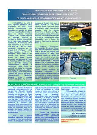 O LABOMAR, da UFC já
possui o primeiro sistema de cultivo
experimental em larga escala
dedicado exclusivamente para
pesquisas em nutrição de peixes
marinhos. A estrutura foi montada no
Centro de Estudos Ambientais
Costeiros (CEAC), unidade avançada
do LABOMAR, localizado no
município do Eusébio, a cerca de 21
km da sede dessa instituição, em
Fortaleza-CE. O sistema de cultivo
está posicionado a céu aberto em
uma área de 1.360 m2
, sendo
inicialmente constituído por 25
tanques de 8 m3
(Figura 1) e três
tanques berçários de 24 m3
. A
montagem desta estrutura foi
possível com recursos obtidos
através de editais públicos
promovidos pelo Ministério da Pesca
e Aquicultura (MPA) em conjunto
com o Conselho Nacional de
Desenvolvimento Científico e
Tecnológico (CNPq) (Edital do
Ministério da Ciência e Tecnologia
(MCT)/CNPq/CT-Agronegócio/MPA
No
036-2009); e outro da Fundação
Cearense de Apoio a Pesquisa e
Desenvolvimento Tecnológico
(FUNCAP) (Edital Universal
FUNCAP 05-2010). As primeiras
pesquisas já tiveram início com o
robalo, espécie de alto valor
comercial (Aporte Lipídico em Dietas
de Juvenis do Robalo, Centropomus
parallelus, para um Máximo
Crescimento em Cultivos com Água
Estuarina). Em seguida, terão início
pesquisas com o beijupirá (Redução
de Custo da Composição de Dietas
Balanceadas para o Cultivo do
Beijupirá, Ranchycentron canadum)
(Figura 2).
Segundo o Coordenador
das pesquisas, Dr. Alberto Nunes,
“esta estrutura representa um salto
para os estudos de nutrição com
peixes marinhos no Brasil. Sua
importância reside na escala do
volume dos tanques e de sua
localização em área aberta”. Ainda
segundo o pesquisador, “a estrutura
permitirá que as pesquisas sejam
realizadas com peixes de maior peso
corporal, numa condição mais
próxima da comercial, pois os
tanques estarão expostos às
intempéries ambientais”. Os
sistemas tradicionalmente utilizados
em pesquisas de nutrição de peixes
são aquários ou tanques de pequeno
volume, utilizando-se de poucos
noção do resultado econômico simples
a partir de mudanças de dados
básicos de cultivo como número e
volume das gaiolas, fases de cultivo,
variações de densidade,
sobrevivência, fator de conversão
alimentar (FCA), tempo de cultivo e
peso final, entre outros. Dados de
preços dos insumos e do produto
final, bem como a participação dos
outros custos e o percentual de
tempo anual no qual as gaiolas se
encontram em operação, também
foram contemplados.
Cientes da importância
dessa modelagem para os
interessados na piscicultura
marinha, colocamos essa planilha à
disposição dos leitores do Beijupirá
News para que possam avaliar
Uma das tarefas do Projeto de
Viabilidade Técnico-econômica e de
Mercado da Sub-rede Nutrição,
Sanidade, e Valor do Beijupirá
Cultivado no Nordeste do Brasil
executada pelo LABOMAR/Univ. Fed.
Rural do Semi-árido (UFERSA-RN)/
Univ. de São Paulo (USP), é a
elaboração de um modelo de avaliação
econômica e financeira para
estabelecer, entre outros objetivos, os
parâmetros zootécnicos mínimos que
devem ser alcançados para que a
atividade de cultivo offshore do
beijupirá seja sustentável econômica e
ambientalmente.
Com esse objetivo,
inicialmente preparou-se uma planilha
no programa Excel que possibilita,
através de simulações, ter-se uma
pessoalmente diferentes cenários
de produção.
Referida planilha faz parte de
um conjunto de outras (vinte ao todo),
com mais de 3.000 fórmulas
interligadas, que retratarão de forma
mais profunda a situação econômica
do cultivo, inclusive com análise de
sensibilidade e risco, não somente de
cultivos offshore, mas também de
cultivos em viveiro escavado, bem
como de laboratórios de produção de
alevinos e de indústrias de
ANO 1 No 3
MODELAGEM ECONÔMICA PARA CENÁRIOS DE CULTIVOS DE BEIJUPIRÁ OFFSHORE*
PRIMEIRO SISTEMA EXPERIMENTAL NO BRASIL
DEDICADO EXCLUSIVAMENTE PARA PESQUISA EM NUTRIÇÃO
DE PEIXES MARINHOS JÁ ESTÁ EM FUNCIONAMENTO NO LABOMAR/UFC*
Figura 1
Figura 2
*Raul Malvino Madrid
Engenheiro de Alimentos
Dr. em Engenharia de Alimentos
Clique aqui para ter acesso
à planilha.
4
 