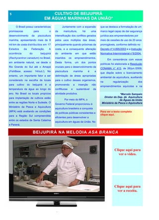 .
CULTIVO DE BEIJUPIRÁ
EM ÁGUAS MARINHAS DA UNIÃO*
O Brasil possui características
promissoras para o
desenvolvimento da piscicultura
marinha, apresentando mais de 8
mil km de costa distribuídos em 17
Estados da Federação. A
ocorrência do beijupirá
(Rachycentron canadum) no Brasil,
em ambiente natural, vai desde o
Rio Grande do Sul até o Amapá
(FishBase, acesso: 14/out./). No
entanto, um importante fator a ser
considerado na escolha de locais
para cultivo do beijupirá é a
temperatura da água ao longo do
ano. No Brasil os locais propícios
para implantação de cultivos estão
entre as regiões Norte e Sudeste. O
Ministério da Pesca e Aquicultura
(MPA) está avaliando as condições
para a Região Sul compreendida
entre os estados de Santa Catarina
e Paraná.
5
Clique aqui para
ver o vídeo.
Clique aqui para
ver a receita.
Juntamente com a expansão
da maricultura, há uma
intensificação dos conflitos gerados
pelos usos múltiplos das áreas,
principalmente quando próximas da
costa, e a consequente alteração
do ambiente em que estão
inseridos os empreendimentos.
Desta forma, um dos pontos
cruciais para o desenvolvimento da
piscicultura marinha é a
delimitação de áreas apropriadas
para o cultivo desses organismos,
promovendo a inserção não
conflituosa e sustentável da
atividade produtiva.
Por meio do MPA, o
Governo Federal proporcionou à
aquicultura brasileira a conquista
de políticas públicas consistentes e
eficientes para desenvolver a
aquicultura em águas da União. No
que se destaca a formatação de um
marco legal capaz de dar segurança
jurídica aos empreendedores por
meio de cessões de uso de 20 anos
prorrogáveis, conforme definido no
Decreto nº 4.895/2003 e a Instrução
Normativa Interministerial n°6/2004.
Em consonância com essas
políticas foi elaborada a Resolução
CONAMA n° 413, de 26/jun./2009,
que dispõe sobre o licenciamento
ambiental da aquicultura, auxiliando
na regularização dos
empreendimentos aquícolas e na
*Marcelo Sampaio
Diretor do Dep. de Aquicultura
de Águas da União
Ministério da Pesca e Aquicultura
Para ver o texto completo
clique aqui.
BEIJUPIRÁ NA MELODIA ASA BRANCA
 