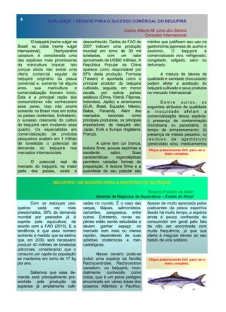 O beijupirá (nome vulgar no
Brasil) ou cobia (nome vulgar
internacional), Rachycentron
canadum, é considerada uma
das espécies mais promissoras
da maricultura tropical. Isto
porque ainda não existe uma
oferta comercial regular de
beijupirá originário da pesca
comercial e, somente há alguns
anos, sua maricultura e
comercialização tiveram início.
Esta é a principal razão dos
consumidores não conhecerem
esse peixe. Isso não ocorre
somente no Brasil mas em todos
os países ocidentais. Entretanto,
o sucesso crescente do cultivo
do beijupirá vem mudando esse
quadro. Os especialistas em
comercialização de produtos
pesqueiros avaliam em 1 milhão
de toneladas o potencial de
demanda do beijupirá nos
mercados internacionais.
O potencial real do
mercado do beijupirá, na maior
parte dos países, ainda é
desconhecido. Dados da FAO de
2007 indicam uma produção
mundial em torno de 30 mil
toneladas, com um valor
aproximado de US$60 milhões. A
República Popular da China
aparece como responsável por
87% desta produção. Formosa
(Taiwan) é apontada como o
principal produtor do beijupirá
cultivado, seguida, em menor
escala, por outros países
asiáticos (China, Vietnã, Filipinas,
Indonésia, Japão) e americanos
(EUA, Brasil, Equador, México,
Belize, Panamá). Além dos
mercados nacionais como
principais produtores, os principais
importadores de beijupirá são:
Japão, EUA e Europa (Inglaterra,
França).
A carne tem cor branca,
textura firme, poucas espinhas e
excelente sabor. Suas
características organolépticas
permitem variadas formas de
preparação. A textura firme e a
suavidade de seu paladar são
vadas no mundo. É o caso das
carpas, tilápias, salmonídeos,
camarões, pangassius, entre
outros. Entretanto, novas es-
pécies estão sendo estudadas e
devem ganhar espaço no
mercado com mais ou menos
rapidez, dependendo de suas
aptidões zootécnicas e mer-
cadológicas.
Nesse cenário pode-se
incluir uma espécie da família
Rachycentridae, Rachycentron
canadum, ou beijupirá, mun-
dialmente conhecido como
cobia, que é um peixe pelágico
encontrado em várias áreas dos
oceanos Atlântico e Pacífico.
Com os estoques pes-
queiros cada vez mais
pressionados, 50% da demanda
mundial por pescados já é
suprida pela aquicultura, de
acordo com a FAO (2010). E a
tendência é que esse número
aumente à medida que se estima
que, em 2030, será necessário
produzir 40 milhões de toneladas
adicionais, considerando que o
consumo per capita da população
se mantenha em torno de 17 kg
por ano.
Sabemos que essa de-
manda será principalmente pre-
enchida pela produção de
espécies já amplamente culti-
Apesar de muito apreciada pelos
praticantes da pesca esportiva
desde há muito tempo, a espécie
ainda é pouco conhecida do
consumidor em geral pelo fato
de não ser encontrada com
muita frequência, já que sua
oferta é irregular devido ao seu
hábito de vida solitário.
ANO 2 No 5
BEIJUPIRÁ: UM DESAFIO PARA A INDÚSTRIA DE NUTRIÇÃO
Ricardo Franklin de Mello
Gerente de Negócios de Aquicultura – Evialis do Brasil
QUALIDADE – DESAFIO PARA O SUCESSO COMERCIAL DO BEIJUPIRÁ
Carlos Alberto M. Lima dos Santos
Consultor Internacional
Clique pressionando Ctrl para ver o
texto completo.
4
méritos que justificam seu uso na
gastronomia japonesa de sushis e
sashimis. O beijupirá é
comercializado vivo, refrigerado,
congelado, salgado, seco ou
defumado.
A mistura de fatores de
qualidade e sanidade (inocuidade)
podem afetar a aceitação do
beijupirá cultivado e seus produtos
no mercado internacional.
Dentre outros, os
seguintes atributos de qualidade
e inocuidade afetam a
comercialização dessa espécie:
i) presença de contaminação
microbiana ou parasitária; ii)
tempo de armazenamento; iii)
presença de metais pesados; iv)
resíduos de agrotóxicos
(pesticidas) e/ou medicamentos
Clique pressionando Ctrl para ver o
texto completo.
http://www.labomar.ufc.br/images/stories/arquivos/beijupira/
bn_ano2_no5/bn_ano2_no5_carlos_alberto.pdf
http://www.labomar.ufc.br/images/stories/arquivos/
beijupira/bn_ano2_no5/bn_ano2_no5_ricardo_melo.pdf
 