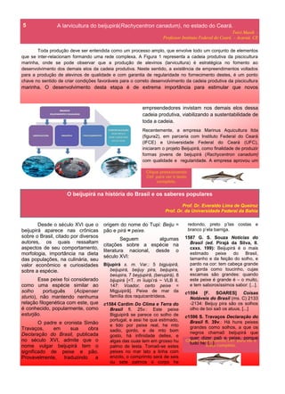 A larvicultura do beijupirá(Rachycentron canadum), no estado do Ceará.
Toivi Masih -
Professor Instituto Federal do Ceará - Acaraú. CE
Toda produção deve ser entendida como um processo amplo, que envolve todo um conjunto de elementos
que se inter-relacionam formando uma rede complexa. A Figura 1 representa a cadeia produtiva da piscicultura
marinha, onde se pode observar que a produção de alevinos (larvicultura) é estratégica no fomento ao
desenvolvimento dos demais elos da cadeia produtiva. Neste sentido, a existência de empreendimentos voltados
para a produção de alevinos de qualidade e com garantia de regularidade no fornecimento destes, é um ponto
chave no sentido de criar condições favoráveis para o correto desenvolvimento da cadeia produtiva da piscicultura
marinha. O desenvolvimento desta etapa é de extrema importância para estimular que novos
5
Desde o século XVI que o
beijupirá aparece nas crônicas
sobre o Brasil, citado por diversos
autores, os quais ressaltam
aspectos de seu comportamento,
morfologia, importância na dieta
das populações, na culinária, seu
valor econômico e curiosidades
sobre a espécie.
Esse peixe foi considerado
como uma espécie similar ao
solho português (Acipenser
sturio), não mantendo nenhuma
relação filogenética com este, que
é conhecido, popularmente, como
esturjão.
O padre e cronista Simão
Travaços, em sua obra
Declaração do Brasil, publicada
no século XVI, admite que o
nome vulgar beijupirá tem o
significado de peixe e pão.
Provavelmente, traduzindo a
O beijupirá na história do Brasil e os saberes populares
Prof. Dr. Everaldo Lima de Queiroz
Prof. Dr. da Universidade Federal da Bahia
empreendedores invistam nos demais elos dessa
cadeia produtiva, viabilizando a sustentabilidade de
toda a cadeia.
Recentemente, a empresa Marinus Aquicultura ltda
(figura2), em parceria com Instituto Federal do Ceará
(IFCE) e Universidade Federal do Ceará (UFC),
iniciaram o projeto Beijupirá, como finalidade de produzir
formas jovens de beijupirá (Rachycentron canadum)
com qualidade e regularidade. A empresa aprovou um
origem do nome do Tupi: Beiju =
pão e pirá = peixe.
Seguem algumas
citações sobre a espécie na
literatura nacional, desde o
século XVI:
Bijupirá s. m. Var.: 5 bigjuipirâ,
beijupirá, beijuy pira, beijupira,
beiupira, 7 beyjupirâ, (berupirá), 8
bijupirá [<T. m ïiuipi’rá ~ VLB II.
147: Voador, certo peixe =
Migjuipirâ]. Peixe de mar da
família dos raquicentrídeos.
c1584 Cardim Do Clima e Terra do
Brasil fl. 25v.: Este peixe
Bigjuipirâ se parece co solho de
portugal, e assi he qua estimado,
e tido por peixe real, he mto
sadio, gordo, e de mto bom
gosto, há infinidade delles, e
algas das ouas tem em grosso hu
palmo de testa. Tomaõ-se estes
peixes no mar lato a linha com
enzolo, o comprimto será de seis
ou sete palmos o corpo he
Clique pressionando
Ctrl para ver o texto
completo.
Clique pressionando Ctrl para ver o
texto completo.
redondo, preto p’las costas e
branco p’ela barriga.
1587 G. S. Souza Notícias do
Brasil (ed. Pirajá da Silva, II.
cxxx. 199): Beijupirá é o mais
estimado peixe do Brasil,
tamanho e da feição do solho, e
pardo na cor: tem cabeça grande
e gorda como toucinho, cujas
escamas são grandes: quando
este peixe é grande é – o muito,
e tem saborosíssimos sabor: [...].
c1594 [F. SOARES] Coisas
Notáveis do Brasil (ms. C) 2133
-2134: Beijuy pira são os solhos
olho de boi saõ os atuus, [...]
c1596 S. Travaços Declaração do
Brasil fl. 39v.: Há huns peixes
grandes como solhos, a que os
negros chamaõ beijupirá que
quer dizer paõ e peixe, porque
tudo he; [...].
 