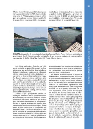 RaulMalvinoMadrid,AlbertoJorgePintoNunes
23
A B
FIGURA 2.1. A, gaiolas de engorda do beijupirá da fazenda Marine Farms Vietnam, localizada na
província de Khanh Hoa, comparadas com gaiolas de um pequeno produtor da mesma espécie
na província de Bà Rịa–Vũng Tàu, Vietnã (B). Fotos: Alberto Nunes.
Marine Farms Vietnam, subsidiária da empresa
norueguesa Marine Farms ASA, atualmente de-
dica cerca de 70% da sua capacidade de cultivo
para produção do pampo, Trachinotus blochii.
O grupo obteve no ano de 2003 a licença para
instalação de 10 áreas de cultivo no mar, onde
se poderia instalar 180 gaiolas e produzir um
máximo teórico de 6.000 ton. de beijupirá ao
ano. Em 2012, a empresa produziu 700 ton. de
pampo e 330 ton. de beijupirá (Figura 2.1).
Em visitas realizadas a fazendas de culti-
vo do beijupirá no Vietnã foi possível verificar
claramente que a diminuição da produção do
beijupirá esta ligada a problemas de índole eco-
nômica e de mercado. O cultivo do beijupirá se
apresenta no decorrer do ano altamente irregu-
lar. Quando o povoamento da espécie em gaio-
las é realizado entre os meses de abril e maio,
com alevinos provenientes de ovos produzidos
a partir da primeira desova após o inverno, o re-
sultado zootécnico é altamente favorável. Nes-
sa condição é possível alcançar peixes com um
peso corporal entre 4,5 a 5,0 kg, entre os meses
de novembro e dezembro.
Acredita-se que a qualidade dos alevinos e as
condições ambientais nessa época são fatores
fundamentais para obter os melhores padrões
zootécnicos de cultivo. Explica-se que a razão
para um melhor desempenho do beijupirá está
no fato da espécie, ao alcançar o inverno, já ter
desenvolvido seu sistema imunológico, sendo
capaz de lidar melhor com as intempéries am-
bientais (Figura 2.2.). Nestas condições, o culti-
vo de beijupirá se apresenta economicamente
viável. Entretanto, quando os cultivos se iniciam
nos meses posteriores a maio, a velocidade de
crescimento vai diminuindo significativamente
acompanhada por um aumento da mortalidade
e consumo de ração. Essa situação gera prejuí-
zos consideráveis que neutralizam os ganhos
auferidos no 1o
cultivo do ano.
No Vietnã, especificamente na província
de Khanh Hoa, onde se encontram instaladas
as gaiolas da empresa Marine Farms Vietnam,
a temperatura da água flutua pouco, entre 26
e 30o
C. No entanto, estas pequenas variações
térmicas são consideradas significativas para
o beijupirá, desencadeando uma situação de
estresse. Jen et al. (2009) realizaram um es-
tudo econômico sobre cultivo do beijupirá
em Taiwan. Os autores analisaram a estru-
tura de custo e retorno econômico desta ati-
vidade em resposta a localização geográfica
dos projetos e a escala de produção em duas
províncias, Pindong e Ponghu, distantes cerca
de 200 km uma da outra. Pindong mostrou-
se mais favorável ao cultivo do beijupirá por
apresentar melhores condições de tempera-
tura e velocidade das correntes. Estas provín-
cias possuem coordenadas geográficas que
quando transportadas ao Hemisfério Sul, es-
tão em latitudes equivalentes a São João da
Barra, RJ e Ubatuba, SP, respectivamente.
 