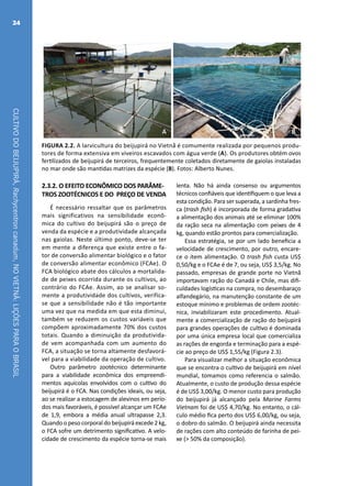 CULTIVODOBEIJUPIRÁ,Rachycentroncanadum,NOVIETNÃ:LIÇÕESPARAOBRASIL
24
A B
FIGURA 2.2. A larvicultura do beijupirá no Vietnã é comumente realizada por pequenos produ-
tores de forma extensiva em viveiros escavados com água verde (A). Os produtores obtém ovos
fertilizados de beijupirá de terceiros, frequentemente coletados diretamente de gaiolas instaladas
no mar onde são mantidas matrizes da espécie (B). Fotos: Alberto Nunes.
2.3.2. O EFEITO ECONÔMICO DOS PARÂME-
TROS ZOOTÉCNICOS E DO PREÇO DE VENDA
É necessário ressaltar que os parâmetros
mais significativos na sensibilidade econô-
mica do cultivo do beijupirá são o preço de
venda da espécie e a produtividade alcançada
nas gaiolas. Neste último ponto, deve-se ter
em mente a diferença que existe entre o fa-
tor de conversão alimentar biológico e o fator
de conversão alimentar econômico (FCAe). O
FCA biológico abate dos cálculos a mortalida-
de de peixes ocorrida durante os cultivos, ao
contrário do FCAe. Assim, ao se analisar so-
mente a produtividade dos cultivos, verifica-
se que a sensibilidade não é tão importante
uma vez que na medida em que esta diminui,
também se reduzem os custos variáveis que
compõem aproximadamente 70% dos custos
totais. Quando a diminuição da produtivida-
de vem acompanhada com um aumento do
FCA, a situação se torna altamente desfavorá-
vel para a viabilidade da operação de cultivo.
Outro parâmetro zootécnico determinante
para a viabilidade econômica dos empreendi-
mentos aquícolas envolvidos com o cultivo do
beijupirá é o FCA. Nas condições ideais, ou seja,
ao se realizar a estocagem de alevinos em perío-
dos mais favoráveis, é possível alcançar um FCAe
de 1,9, embora a média anual ultrapasse 2,3.
Quando o peso corporal do beijupirá excede 2 kg,
o FCA sofre um detrimento significativo. A velo-
cidade de crescimento da espécie torna-se mais
lenta. Não há ainda consenso ou argumentos
técnicos confiáveis que identifiquem o que leva a
esta condição. Para ser superada, a sardinha fres-
ca (trash fish) é incorporada de forma gradativa
a alimentação dos animais até se eliminar 100%
da ração seca na alimentação com peixes de 4
kg, quando estão prontos para comercialização.
Essa estratégia, se por um lado beneficia a
velocidade de crescimento, por outro, encare-
ce o item alimentação. O trash fish custa US$
0,50/kg e o FCAe é de 7, ou seja, US$ 3,5/kg. No
passado, empresas de grande porte no Vietnã
importavam ração do Canadá e Chile, mas difi-
culdades logísticas na compra, no desembaraço
alfandegário, na manutenção constante de um
estoque mínimo e problemas de ordem zootéc-
nica, inviabilizaram este procedimento. Atual-
mente a comercialização de ração do beijupirá
para grandes operações de cultivo é dominada
por uma única empresa local que comercializa
as rações de engorda e terminação para a espé-
cie ao preço de US$ 1,55/kg (Figura 2.3).
Para visualizar melhor a situação econômica
que se encontra o cultivo de beijupirá em nível
mundial, tomamos como referencia o salmão.
Atualmente, o custo de produção dessa espécie
é de US$ 3,00/kg. O menor custo para produção
do beijupirá já alcançado pela Marine Farms
Vietnam foi de US$ 4,70/kg. No entanto, o cál-
culo médio fica perto dos US$ 6,00/kg, ou seja,
o dobro do salmão. O beijupirá ainda necessita
de rações com alto conteúdo de farinha de pei-
xe (> 50% da composição).
 