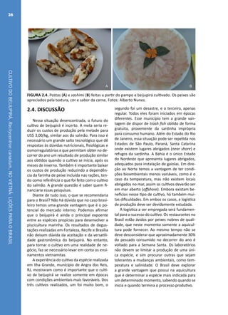 CULTIVODOBEIJUPIRÁ,Rachycentroncanadum,NOVIETNÃ:LIÇÕESPARAOBRASIL
26
A B
FIGURA 2.4. Postas (A) e sashimi (B) feitas a partir do pampo e beijupirá cultivado. Os peixes são
apreciados pela textura, cor e sabor da carne. Fotos: Alberto Nunes.
2.4. DISCUSSÃO
Nessa situação desencontrada, o futuro do
cultivo de beijupirá é incerto. A meta seria re-
duzir os custos de produção pela metade para
US$ 3,00/kg, similar aos do salmão. Para isso é
necessário um grande salto tecnológico que dê
respostas às dúvidas nutricionais, fisiológicas e
osmorregulatórias e que permitam obter no de-
correr do ano um resultado de produção similar
aos obtidos quando o cultivo se inicia, após os
meses de inverno. Também é importante baixar
os custos de produção reduzindo a dependên-
cia da farinha de peixe incluída nas rações, ten-
do como referência o que foi feito com o cultivo
do salmão. A grande questão é saber quem fi-
nanciaria essas pesquisas.
Diante de tudo isso, o que se recomendaria
para o Brasil? Não há dúvida que no caso brasi-
leiro temos uma grande vantagem que é o po-
tencial do mercado interno. Podemos afirmar
que o beijupirá é ainda o principal expoente
entre as espécies propicias para desenvolver a
piscicultura marinha. Os resultados de degus-
tações realizadas em Fortaleza, Recife e Brasília
não deixam dúvida da aceitação e da versatili-
dade gastronômica do beijupirá. No entanto,
para tornar o cultivo em uma realidade de ne-
gócio, faz-se necessário levar em conta os ensi-
namentos vietnamitas.
A experiência do cultivo da espécie realizada
em Ilha Grande, município de Angra dos Reis,
RJ, mostraram como é importante que o culti-
vo de beijupirá se realize somente em épocas
com condições ambientais mais favoráveis. Dos
três cultivos realizados, um foi muito bom, o
segundo foi um desastre, e o terceiro, apenas
regular. Todos eles foram iniciados em épocas
diferentes. Esse município tem a grande van-
tagem de dispor de trash fish obtido de forma
gratuita, proveniente da sardinha imprópria
para consumo humano. Além do Estado do Rio
de Janeiro, essa situação pode ser repetida nos
Estados de São Paulo, Paraná, Santa Catarina
onde existem lugares abrigados (near shore) e
refugos da sardinha. A Bahia é o único Estado
do Nordeste que apresenta lugares abrigados,
adequados para instalação de gaiolas. Em dire-
ção ao Norte temos a vantagem de ter condi-
ções bioambientais menos variáveis, como é o
caso da temperatura, mas não existem locais
abrigados no mar, assim os cultivos deverão ser
em mar aberto (offshore). Embora existam be-
nefícios nesse tipo de cultivo, há também mui-
tas dificuldades. Em ambos os casos, a logística
de produção deve ser devidamente estudada.
A logística a ser empregada será fundamen-
tal para o sucesso do cultivo. Os restaurantes no
Brasil estão ávidos por peixes nobres de quali-
dade, que neste momento somente a aquicul-
tura pode fornecer. Ao mesmo tempo não se
deve desconsiderar que aproximadamente 30%
do pescado consumido no decorrer do ano é
voltado para a Semana Santa. Os laboratórios
não devem se limitar a produção de uma úni-
ca espécie, e sim procurar outras que sejam
tolerantes a mudanças ambientais, como tem-
peratura e salinidade. O Brasil deve explorar
a grande vantagem que possui na aquicultura
que é determinar a espécie mais indicada para
um determinado momento, sabendo quando se
inicia e quando termina o processo produtivo.
 