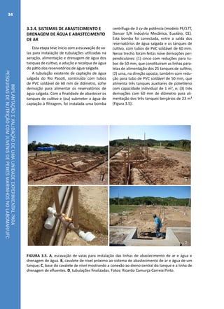 IMPLANTAÇÃOEVALIDAÇÃODEUMAUNIDADEEXPERIMENTALPARA
PESQUISASDENUTRIÇÃOCOMJUVENISDEPEIXESMARINHOSNOLABOMAR/UFC
34
3.2.4. SISTEMAS DE ABASTECIMENTO E
DRENAGEM DE ÁGUA E ABASTECIMENTO
DE AR
Esta etapa teve inicio com a escavação de va-
las para instalação de tubulações utilizadas na
aeração, alimentação e drenagem de água dos
tanques de cultivo, e adução e recalque de água
do pátio dos reservatórios de água salgada.
A tubulação existente de captação de água
salgada do Rio Pacoti, construída com tubos
de PVC soldável de 60 mm de diâmetro, sofre
derivação para alimentar os reservatórios de
água salgada. Com a finalidade de abastecer os
tanques de cultivo e (ou) submeter a água de
captação à filtragem, foi instalada uma bomba
centrífuga de 3 cv de potência (modelo PF/17T,
Dancor S/A Indústria Mecânica, Eusébio, CE).
Esta bomba foi conectada, entre a saída dos
reservatórios de água salgada e os tanques de
cultivo, com tubos de PVC soldável de 60 mm.
Nesse trecho foram feitas nove derivações per-
pendiculares: (1) cinco com reduções para tu-
bos de 50 mm, que constituíram as linhas para-
lelas de alimentação dos 25 tanques de cultivo;
(2) uma, na direção oposta, também com redu-
ção para tubo de PVC soldável de 50 mm, que
alimenta três tanques auxiliares de polietileno
com capacidade individual de 1 m3
, e; (3) três
derivações com 60 mm de diâmetro para ali-
mentação dos três tanques berçários de 23 m³
(Figura 3.5).
A B
C D
FIGURA 3.5. A, escavação de valas para instalação das linhas de abastecimento de ar e água e
drenagem de água. B, cavalete de nível próximo ao sistema de abastecimento de ar e água de um
tanque; C, base do cavalete de nível mostrando a conexão ao dreno central do tanque e a linha de
drenagem de efluentes. D, tubulações finalizadas. Fotos: Ricardo Camurça Correia Pinto.
 
