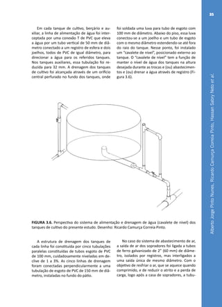 AlbertoJorgePintoNunes,RicardoCamurçaCorreiaPinto,HassanSabryNetoetal.
35
Em cada tanque de cultivo, berçário e au-
xiliar, a linha de alimentação de água foi inter-
ceptada por uma conexão T de PVC que eleva
a água por um tubo vertical de 50 mm de diâ-
metro conectado a um registro de esfera e dois
joelhos, todos de PVC de igual diâmetro, para
direcionar a água para os referidos tanques.
Nos tanques auxiliares, essa tubulação foi re-
duzida para 32 mm. A drenagem dos tanques
de cultivo foi alcançada através de um orifício
central perfurado no fundo dos tanques, onde
foi soldada uma luva para tubo de esgoto com
100 mm de diâmetro. Abaixo do piso, essa luva
conectou-se a um joelho e um tubo de esgoto
com o mesmo diâmetro estendendo-se até fora
do raio do tanque. Nesse ponto, foi instalado
um “cavalete de nível”, posicionado externo ao
tanque. O “cavalete de nível” tem a função de
manter o nível de água dos tanques na altura
desejada durante as trocas e (ou) abastecimen-
tos e (ou) drenar a água através de registro (Fi-
gura 3.6).
FIGURA 3.6. Perspectiva do sistema de alimentação e drenagem de água (cavalete de nível) dos
tanques de cultivo do presente estudo. Desenho: Ricardo Camurça Correia Pinto.
A estrutura de drenagem dos tanques de
cada linha foi constituída por cinco tubulações
paralelas constituídas de tubos esgoto de PVC
de 100 mm, cuidadosamente niveladas em de-
clive de 1 a 3%. As cinco linhas de drenagem
foram conectadas perpendicularmente a uma
tubulação de esgoto de PVC de 150 mm de diâ-
metro, instaladas no fundo do pátio.
No caso do sistema de abastecimento de ar,
a saída de ar dos sopradores foi ligada a tubos
de ferro galvanizado de 2” (60 mm) de diâme-
tro, isolados por registros, mas interligados a
uma saída única de mesmo diâmetro. Com o
objetivo de resfriar o ar, que se aquece quando
comprimido, e de reduzir o atrito e a perda de
carga, logo após a casa de sopradores, a tubu-
 