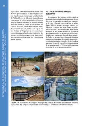IMPLANTAÇÃOEVALIDAÇÃODEUMAUNIDADEEXPERIMENTALPARA
PESQUISASDENUTRIÇÃOCOMJUVENISDEPEIXESMARINHOSNOLABOMAR/UFC
36
lação sofreu uma expansão em 6 m com tubo
de ferro galvanizado de 3” (85 mm) de diâme-
tro. A partir daí, o ar seguiu por uma tubulação
de PVC de 85 mm de diâmetro. Na subida para
cada tanque de cultivo, a tubulação sofreu uma
redução para um diâmetro de 50 mm, nos tan-
ques berçários e de cultivo, e para 32 mm, nos
tanques auxiliares, sendo finalizada em forma
de L invertido por um joelho e um cap. O tre-
cho final do “L” foi perfurado por nove difuso-
res metálicos que difundem o ar no interior dos
tanques através de mangueiras de silicone de 5
mm de diâmetro finalizadas por chumbadas e
pedras porosas.
3.2.5. MONTAGEM DOS TANQUES
DE CULTIVO
A montagem dos tanques ocorreu após a
conclusão da instalação hidráulica subterrânea.
O terreno foi nivelado com cavalete e manguei-
ra de nível e forrado com areia fina ou arisco
(Figura 3.7). Os tanques berçários, maiores em
diâmetro e volume de água, foram erguidos
primeiramente e sem problemas. No entanto,
consumiu-se um longo período de tempo na
tentativa de manter os tanques de cultivo equi-
librados com o volume e altura de água projeta-
da. Todos os tanques foram ligados às linhas de
abastecimento de água do estuário já existente,
através de tubulação, conexões de derivação e
registros. Uma rede hidráulica mista composta
de ferro galvanizado e PVC foram utilizadas para
alimentar de ar os tanques de cultivo.
A B
C D
FIGURA 3.7. Nivelamento do solo para instalação dos tanques de lona foi realizado com areia fina
(A) ou arisco (B). Tanques berçários após a instalação (C) e sistema de cultivo finalizado (D).
 