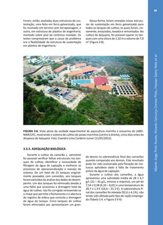 AlbertoJorgePintoNunes,RicardoCamurçaCorreiaPinto,HassanSabryNetoetal.
41
Foram, então, avaliadas duas estruturas de sus-
tentação, uma feita em ferro galvanizado, que
foi montado em terreno sem terraplanagem, e
outra, em estrutura de plástico de engenharia,
montado sobre piso de cerâmica nivelado. Os
testes comprovaram que a causa do problema
era a flexibilidade da estrutura de sustentação
em plástico de engenharia.
Dessa forma, foram enviadas novas estrutu-
ras de sustentação em ferro galvanizado para
todos os tanques de cultivo, os quais foram, no-
vamente, esvaziados, lavados e remontados. No
cultivo do beijupirá, foi possível operar os tan-
ques com uma altura de 1,32 m e volume de 7,0
m3
(Figura 3.8).
FIGURA 3.8. Vista aérea da unidade experimental de aquicultura marinha e estuarina do LABO-
MAR/UFC, mostrando o sistema de cultivo de peixes marinhos (centro à direita), cinco dias antes da
despesca do beijupirá. Foto: Evandro Lima Cordeiro Junior (11/01/2012).
3.3.3. ADEQUAÇÃO BIOLÓGICA
Durante o cultivo do camarão L. vannamei
foi possível verificar falhas estruturais nos tan-
ques de cultivo, identificar a necessidade de
filtragem da água de captação e melhorar os
processos de operacionalização e manejo do
sistema. De um total de 25 tanques original-
mente povoados com camarões, seis tanques
foram excluídos da análise dos dados de desem-
penho. Um dos tanques foi eliminado devido a
uma falha que ocasionou a drenagem total da
água de cultivo. Isto foi corrigido removendo-se
a chave que permite o fechamento e a abertura
do registro de esfera que controla a drenagem
de água do tanque. Cinco tanques de cultivo
foram eliminados por apresentaram um gran-
de desvio na sobrevivência final dos camarões
quando comparado aos demais. Este resultado
pode ter sido ocasionado pela floração de mo-
luscos aplisídeos dado à falta de tratamento
prévio da água de captação.
Durante o cultivo dos camarões, a água
apresentou uma salinidade média de 28 ± 4,7
g/L (21 – 41 g/L, mínimo e máximo), um pH de
7,54 ± 0,28 (6,33 – 8,01) e uma temperatura de
28,7 ± 1,3o
C (24,4 – 31,1o
C). A sobrevivência fi-
nal dos camarões foi elevada (92,6 ± 4,1%), não
tendo sido afetada pelo tipo de ração emprega-
da (Tabela 3.4. e Figura 3.9 A).
 
