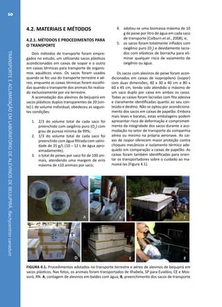 TRANSPORTEEACLIMATAÇÃOEMLABORATÓRIODEALEVINOSDEBEIJUPIRÁ,Rachycentroncanadum
50
4.2. MATERIAIS E MÉTODOS
4.2.1. MÉTODOS E PROCEDIMENTOS PARA
O TRANSPORTE
Dois métodos de transporte foram empre-
gados no estudo, um utilizando sacos plásticos
acondicionados em caixas de isopor e o outro
em caixas térmicas para transporte de organis-
mos aquáticos vivos. Os sacos foram usados
quando se fez uso do transporte terrestre e aé-
reo, enquanto as caixas térmicas foram escolhi-
das quando o transporte dos animais foi realiza-
do exclusivamente por via terrestre.
A acomodação dos alevinos de beijupirá em
sacos plásticos duplos transparentes de 20 (vin-
te) L de volume individual, obedeceu as seguin-
tes condições:
1.	 2/3 do volume total de cada saco foi
preenchido com oxigênio puro (O2
) com
grau de pureza mínima de 99%;
2.	 1/3 do volume total de cada saco foi
preenchido com água filtrada com salini-
dade de 35 g/L (10 – 12 L de água apro-
ximadamente);
3.	 o total de peixes por saco foi de 100 ani-
mais, atendendo uma margem de erro
máxima de ±10 animais por saco;
4.	 adotou-se uma biomassa máxima de 10
g de peixe por litro de água em cada saco
de transporte (Colburn et al., 2008), e;
5.	 os sacos foram totalmente inflados com
oxigênio puro (O2
) e devidamente lacra-
dos com elásticos de borracha para eli-
minar qualquer risco de vazamento de
oxigênio ou água.
Os sacos com alevinos de peixe foram acon-
dicionados em caixas de isopropileno (isopor)
com duas dimensões, 40 x 30 x 40 cm e 80 x
60 x 45 cm, tendo sido atendido o máximo de
um saco duplo por caixa em ambos os casos.
Todas as caixas foram lacradas com fita adesiva
e claramente identificadas quanto ao seu con-
teúdo e destino. Não se optou por acondiciona-
mento dos sacos em caixas de papelão. Embora
mais leves e baratas, estas embalagens podem
apresentar risco de deformação e comprometi-
mento da integridade dos sacos durante a aco-
modação no setor de transporte da companhia
aérea ou mesmo na própria aeronave. As cai-
xas de isopor oferecem maior proteção contra
choques mecânicos e isolamento térmico ade-
quado em comparação a caixas de papelão. As
caixas foram também identificadas para orien-
tar os transportadores sobre o cuidado ao ma-
nuseá-las (Figura 4.1).
A B C
FED
FIGURA 4.1. Procedimentos adotados no transporte terrestre e aéreo de alevinos de beijupirá em
sacos plásticos. Nas fotos, os animais foram transportados de Ilhabela, SP para Eusébio, CE e Mos-
soró, RN. A, contagem de alevinos em baldes com água; B, preenchimento dos sacos de transporte
 