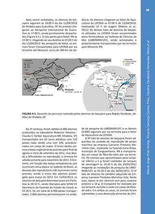 AlbertoJorgePintoNunes,RicardoCamurçaCorreiaPinto,CarolinaCavalcantiFernandesVieiraetal.
55
Após serem embalados, os alevinos de bei-
jupirá seguiram às 14:00 h do dia 11/04/2010
de Ilhabela para Guarulhos, SP. Os animais che-
garam ao Aeroporto Internacional de Guaru-
lhos às 17:00 h, sendo prontamente despacha-
dos (Figura 4.5.). O voo partiu para Natal, RN às
23:00 h, chegando ao seu destino às 03:00 h do
dia 12/04/2013. No aeroporto de Natal, os ani-
mais foram transportados para UFERSA por via
terrestre até Mossoró, cerca de 280 km de dis-
tância. Os alevinos chegaram ao Setor de Aqui-
cultura da UFERSA as 07:00 h de 12/04/2010,
totalizando 12 h de viagem (Ribeiro et al.,
2011). Os demais lotes de alevinos de beijupi-
rá utilizados na UFERSA foram encaminhados
pelos fornecedores ao Instituto de Ciências do
Mar (LABOMAR/UFC), sendo aclimatados e
posteriormente transportados por via terrestre
para Mossoró, RN.
FIGURA 4.5. Desenho do percurso realizado pelos alevinos de beijupirá para Região Nordeste, ob-
tidos de Ilhabela, SP.
Na 3ª remessa, foram obtidos 6.000 alevinos
produzidos no laboratório Redemar Alevinos -
Claudia E. Kerber Aquicultura ME (Ilhabela, SP)
transportados em 63 sacos plásticos com 110
peixes cada, sendo uma com 100, acondicio-
nados em caixas de isopor. O envio destes ani-
mais estava originalmente previsto para final de
agosto e início de setembro de 2011, mas devi-
do a dificuldades na reprodução, a remessa foi
adiada somente para novembro de 2011. Entre-
tanto, em função das baixas temperaturas que
ocorreram nessa época no Sudeste do Brasil, as
desovas dos reprodutores não ocorreram como
previsto, sendo o envio dos alevinos poster-
gado para março de 2012. Em 13/03/2013, os
alevinos de beijupirá desembarcaram em Forta-
leza às 00:12 h, sendo liberados pela SEFAZ-CE
(Secretaria da Fazenda do Estado do Ceará) as
03:30 h. De um total de 6.000 peixes transpor-
tados, 2.000 alevinos permaneceram na unida-
de de pesquisa do LABOMAR/UFC e os demais
(4.000) seguiram por via terrestre para o Setor
de Aquicultura da UFERSA.
O 4º lote de alevinos de beijupirá foram ad-
quiridos da unidade de reprodução de peixes
marinhos da empresa Camanor Produtos Ma-
rinhos Ltda., localizada na Fazenda Cana Brava,
município de Canguaretama, RN e transporta-
dos em caixas de fibra-de-vidro por via terres-
tre. Os animais que apresentavam peso corpo-
ral inferior a 5 g foram coletados de tanques
de alevinagem às 14:20 h do dia 29/05/2012
chegando às instalações de pesquisa do LABO-
MAR/UFC às 03:30 h do dia 30/05/2012. O 5º
lote de alevinos foi também adquirido da Em-
presa Camanor Produtos Marinhos Ltda. Neste
caso, optou-se por alevinos com peso corporal
próximo a 10 g. O transporte foi realizado por
via terrestre durante a noite em caixas de fibra-
de-vidro. Em ambos os casos, os animais foram
submetidos a uma abstenção alimentar de 24 h.
 