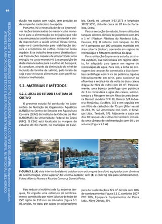 REDUÇÃODOCUSTODACOMPOSIÇÃODEDIETASBALANCEADASPARAOCULTIVODOBEIJUPIRÁ,Rachycentroncanadum,
ATRAVÉSDEAMINOÁCIDOSSINTÉTICOSEMISTURASALIMENTARESCOMPERFILNUTRICIONALMELHORADO
64
dução nos custos com ração, sem prejuízo ao
desempenho zootécnico da espécie.
Portanto, há a necessidade de se desenvol-
ver rações balanceadas de menor custo mone-
tário para a alimentação do beijupirá que não
causem prejuízo zootécnico e ambiental e ain-
da mantenham a saúde animal. Dessa forma,
estar-se-á contribuindo para viabilização téc-
nica e econômica do cultivo comercial dessa
espécie. Este trabalho teve como objetivo bus-
car formulações capazes de proporcionar uma
redução no custo monetário da composição de
dietas balanceadas para o cultivo do beijupirá,
R. canadum, através da diminuição do nível de
inclusão da farinha de salmão, pelo farelo de
soja e por misturas alimentares com perfil nu-
tricional melhorado.
5.2. MATERIAIS E MÉTODOS
5.2.1. LOCAL DO ESTUDO E SISTEMA DE
CULTIVO
O presente estudo foi conduzido no Labo-
ratório de Nutrição de Organismos Aquáticos
(LANOA) no Centro de Estudos em Aquicultura
Costeira (CEAC) do Instituto de Ciências do Mar
(LABOMAR) da Universidade Federal do Ceará
(UFC). O CEAC está localizado às margens do
estuário do Rio Pacoti, no município do Eusé-
bio, Ceará; na latitude 3o
53’15”S e longitude
38o
22’30”O, distante cerca de 20 km de Forta-
leza, Ceará.
Para a execução do estudo, foram utilizados
tanques cilindro-cônicos de polietileno com 0,5
e 1 m3
(Plastsan Plásticos do Nordeste Ltda.,
Caucaia, CE). O sistema com tanques de 0,5
m3
é composto por 100 unidades mantidas em
área coberta (indoor), operando em regime de
recirculação e filtragem contínua da água.
Para realização do presente estudo, o siste-
ma outdoor, que funcionava em regime aber-
to, foi adaptado para operar em regime de
recirculação de água. Para isto, a linha de dre-
nagem dos tanques foi conectada a duas bom-
bas centrífugas com ¼ cv de potência, ligadas
hidraulicamente em série, para succionar os
efluentes e recalcá-los de volta às duas caixas
d’água de fibra de vidro com 20 m³. Paralela-
mente, uma bomba centrífuga com potência
de 3 cv recirculava a água das caixas, subme-
tendo-a a filtragem em um filtro de areia (mar-
ca Dancor, modelo DFR-30, Dancor S/A Indús-
tria Mecânica, Eusébio, CE) e em seguida em
um filtro de cartuchos de 75 µm (filter vessel
XL-234, FSI Sul Americana Ind. Com. e Servi-
ços Ltda., Taubaté, SP). Adjacente a cada um
dos 30 tanques de cultivo foi também instala-
da uma câmara de sedimentação com 60 L de
volume (Figura 5.1 A).
CA B
FIGURA 5.1. (A) vista interior do sistema outdoor com os tanques de cultivo equipados com câmaras
de sedimentação. Vista superior do sistema outdoor, sem (B) e com (C) tela para sombreamento.
Fotos: Alberto Nunes e Ricardo Camurça Correia Pinto.
Para reduzir a incidência de luz sobre os tan-
ques, foi erguida uma estrutura de sombrea-
mento constituída por nove colunas de tubo de
PVC rígido de 110 mm de diâmetro (Figura 5.1
B), unidas, no topo, por cabos de polipropileno
para dar sustentação a 225 m² de tela com 70%
de sombreamento (Figura 5.1 C, sombrite 1007
PTO 70%, Equipesca Equipamentos de Pesca
Ltda., Nova Odessa, SP).
 