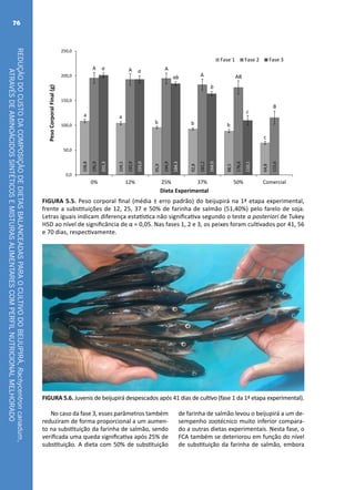 REDUÇÃODOCUSTODACOMPOSIÇÃODEDIETASBALANCEADASPARAOCULTIVODOBEIJUPIRÁ,Rachycentroncanadum,
ATRAVÉSDEAMINOÁCIDOSSINTÉTICOSEMISTURASALIMENTARESCOMPERFILNUTRICIONALMELHORADO
76
108,8
104,5
95,9
92,8
88,5
64,8
195,9
192,9
194,9
182,2
176,6
115,6
201,3
193,0
184,3
164,0
110,1
0,0
50,0
100,0
150,0
200,0
250,0
0% 12% 25% 37% 50% Comercial
PesoCorporalFinal(g)
Dieta Experimental
Fase 1 Fase 2 Fase 3
a
b
a
b b
c
A A A
A AB
B
a
a
ab
b
c
FIGURA 5.5. Peso corporal final (média ± erro padrão) do beijupirá na 1ª etapa experimental,
frente a substituições de 12, 25, 37 e 50% de farinha de salmão (51,40%) pelo farelo de soja.
Letras iguais indicam diferença estatística não significativa segundo o teste a posteriori de Tukey
HSD ao nível de significância de α = 0,05. Nas fases 1, 2 e 3, os peixes foram cultivados por 41, 56
e 70 dias, respectivamente.
FIGURA 5.6. Juvenis de beijupirá despescados após 41 dias de cultivo (fase 1 da 1ª etapa experimental).
No caso da fase 3, esses parâmetros também
reduziram de forma proporcional a um aumen-
to na substituição da farinha de salmão, sendo
verificada uma queda significativa após 25% de
substituição. A dieta com 50% de substituição
de farinha de salmão levou o beijupirá a um de-
sempenho zootécnico muito inferior compara-
do a outras dietas experimentais. Nesta fase, o
FCA também se deteriorou em função do nível
de substituição da farinha de salmão, embora
 