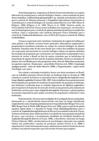 120 Biocontrole de doenças de plantas: uso e perspectivas
Dois fitopatógenos, originários do Brasil, foram introduzidos em regiões
diferentes do mundo para o controle biológico clássico, como resultado de parte
destes trabalhos: Colletotrichum gloeosporioides f. sp. miconiae, introduzido no Havaí
para o controle de Miconia calvescens; e Prospodium tuberculatum, introduzido na
Austrália para o controle biológico de Lantana camara (Barreto et al. 1995, Meyer &
Killgore, 2000, Killgore et al., 1999, Meyer et al., 2008). Existem ainda, na
Universidade Federal de Viçosa outros trabalhos em cooperação, envolvendo o
uso de fitopatógenos para o controle de plantas daninhas brasileiras em ambientes
exóticos, como a cooperação com Landcare Research (Nova Zelândia) para o
controle de Tradescantia fluminensi e com o USDA (EUA) para o controle de Schinus
terebinthifolius.
Graças à cooperação entre cientistas e instituições de regiões invadidas por
estas plantas e do Brasil, recursos foram aportados, laboratórios organizados e
pesquisadores brasileiros treinados no campo do controle biológico de plantas
daninhas. Passados mais de dez anos desde que o início dos trabalhos de grupos
em cooperação internacional em controle biológico clássico de plantas daninhas
há exemplos de programas que começaram a ser organizados ou planejados com a
intenção de incluir o Brasil na lista de nações mundiais que se beneficiam da
importação de agentes de biocontrole de plantas daninhas. Dentre os exemplos de
plantas-alvo escolhidas para estes programas estão, além de Hedychium coronarium,
as seguintes espécies: Tecoma stans – amarelinho (Vitorino et al., 2004); Cryptostegia
madagascariensis – unha-do-diabo (Barreto, 2008); e Eragrostis plana – capim-anoni
(Nachtigal, com. pess.).
Em relação à estratégia inundativa houve um início promissor no Brasil,
com os trabalhos pioneiros desenvolvidos na Embrapa Soja na década de 1980
visando ao controle do leiteiro ou amendoim-bravo (Euphorbia heterophylla) com o
fungoBipolaris euphorbiae (Yorinori 1985, 1987). Estes trabalhos foram posteriormente
interrompidos por questões de mudança de prioridades de pesquisa na Embrapa,
por limitações verificadas para os isolados disponíveis de Bipolaris euphorbiae e
pelo temporário fechamento de mercado devido ao lançamento pela indústria de
herbicidas com boa ação contra Euphorbia heterophylla. Entretanto, a planta ganhou
novamente importância pela ampla ocorrência de populações resistentes a estes
herbicidas.
Posteriormente,diversosoutrostrabalhosdeinvestigaçãoforamconduzidos,
destacando-se o micoherbicida desenvolvido com base no fungo identificado
originalmente como Fusarium graminearum na Unesp Jaboticabal (Borges Neto et al.,
2005; Borges Neto & Pitelli, 2004; Borges Neto et al., 2004), para o controle da planta
aquática Egeria densa, e o baseado no fungo Lewia chlamidosporiformans, para o
controle de Euphorbia heterophylla desenvolvido na Universidade Federal de Viçosa.
O desenvolvimento deste último produto é resultado de uma pesquisa iniciada há
20 anos e que envolveu o levantamento detalhado da micobiota brasileira de
Euphorbia heterophylla (Barreto & Evans, 1998), a descoberta e descrição do fungo
(Vieira & Barreto, 2005), estudos básicos de sua biologia e interação com a planta
(dados não publicados), estudos de produção massal (Vieira et al., 2008) e
experimentos e testes demonstrativos que culminaram no desenvolvimento de um
produto com patente requerida e que está em fase de testes para registro.
 