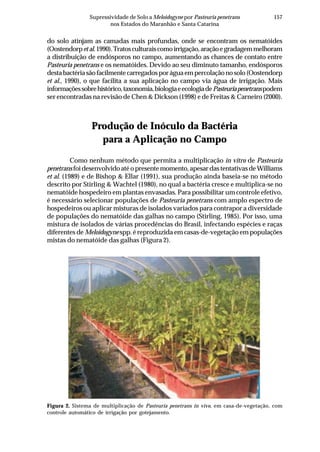 157Supressividade de Solo a Meloidogyne por Pasteuria penetrans
nos Estados do Maranhão e Santa Catarina
do solo atinjam as camadas mais profundas, onde se encontram os nematóides
(Oostendorp etal.1990).Tratosculturaiscomoirrigação,araçãoegradagemmelhoram
a distribuição de endósporos no campo, aumentando as chances de contato entre
Pasteuria penetrans e os nematóides. Devido ao seu diminuto tamanho, endósporos
destabactériasãofacilmentecarregadosporáguaempercolaçãonosolo(Oostendorp
et al., 1990), o que facilita a sua aplicação no campo via água de irrigação. Mais
informaçõessobrehistórico,taxonomia,biologiaeecologiadePasteuriapenetranspodem
ser encontradas na revisão de Chen & Dickson (1998) e de Freitas & Carneiro (2000).
Produção de Inóculo da Bactéria
para a Aplicação no Campo
Como nenhum método que permita a multiplicação in vitro de Pasteuria
penetrans foidesenvolvidoatéopresentemomento,apesardastentativasdeWilliams
et al. (1989) e de Bishop & Ellar (1991), sua produção ainda baseia-se no método
descrito por Stirling & Wachtel (1980), no qual a bactéria cresce e multiplica-se no
nematóide hospedeiro em plantas envasadas. Para possibilitar um controle efetivo,
é necessário selecionar populações de Pasteuria penetrans com amplo espectro de
hospedeiros ou aplicar misturas de isolados variados para contrapor a diversidade
de populações do nematóide das galhas no campo (Stirling, 1985). Por isso, uma
mistura de isolados de várias procedências do Brasil, infectando espécies e raças
diferentes de Meloidogynespp. é reproduzida em casas-de-vegetação em populações
mistas do nematóide das galhas (Figura 2).
Figura 2. Sistema de multiplicação de Pasteuria penetrans in vivo, em casa-de-vegetação, com
controle automático de irrigação por gotejamento.
 