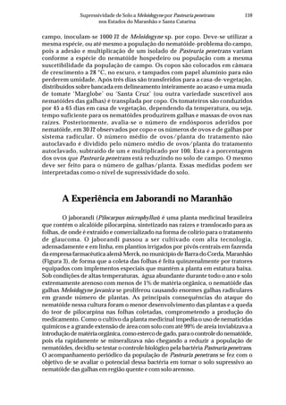 159Supressividade de Solo a Meloidogyne por Pasteuria penetrans
nos Estados do Maranhão e Santa Catarina
campo, inoculam-se 1000 J2 de Meloidogyne sp. por copo. Deve-se utilizar a
mesma espécie, ou até mesmo a população do nematóide-problema do campo,
pois a adesão e multiplicação de um isolado de Pasteuria penetrans variam
conforme a espécie do nematóide hospedeiro ou população com a mesma
suscetibilidade da população de campo. Os copos são colocados em câmara
de crescimento a 28 °C, no escuro, e tampados com papel alumínio para não
perderem umidade. Após três dias são transferidos para a casa-de-vegetação,
distribuídos sobre bancada em delineamento inteiramente ao acaso e uma muda
de tomate ‘Marglobe’ ou ‘Santa Cruz’ (ou outra variedade suscetível aos
nematóides das galhas) é transplada por copo. Os tomateiros são conduzidos
por 45 a 65 dias em casa de vegetação, dependendo da temperatura, ou seja,
tempo suficiente para os nematóides produzirem galhas e massas de ovos nas
raízes. Posteriormente, avalia-se o número de endósporos aderidos por
nematóide, em 30 J2 observados por copo e os números de ovos e de galhas por
sistema radicular. O número médio de ovos/planta do tratamento não
autoclavado é dividido pelo número médio de ovos/planta do tratamento
autoclavado, subtraído de um e multiplicado por 100. Esta é a porcentagem
dos ovos que Pasteuria penetrans está reduzindo no solo de campo. O mesmo
deve ser feito para o número de galhas/planta. Essas medidas podem ser
interpretadas como o nível de supressividade do solo.
A Experiência em Jaborandi no Maranhão
O jaborandi (Pilocarpus microphyllus) é uma planta medicinal brasileira
que contém o alcalóide pilocarpina, sintetizado nas raízes e translocado para as
folhas, de onde é extraído e comercializado na forma de colírio para o tratamento
de glaucoma. O jaborandi passou a ser cultivado com alta tecnologia,
adensadamente e em linha, em plantios irrigados por pivôs centrais em fazenda
da empresa farmacêutica alemã Merck, no município de Barra do Corda, Maranhão
(Figura 3), de forma que a coleta das folhas é feita quinzenalmente por tratores
equipados com implementos especiais que mantém a planta em estatura baixa.
Sob condições de altas temperaturas, água abundante durante todo o ano e solo
extremamente arenoso com menos de 1% de matéria orgânica, o nematóide das
galhas Meloidogyne javanica se proliferou causando enormes galhas radiculares
em grande número de plantas. As principais consequências do ataque do
nematóide nessa cultura foram o menor desenvolvimento das plantas e a queda
do teor de pilocarpina nas folhas coletadas, comprometendo a produção do
medicamento. Como o cultivo da planta medicinal impedia o uso de nematicidas
químicos e a grande extensão de área com solo com até 99% de areia inviabizava a
introdução de matéria orgânica, como esterco de gado, para o controle do nematóide,
pois ela rapidamente se mineralizava não chegando a reduzir a população de
nematóides, decidiu-se testar o controle biológico pela bactéria Pasteuria penetrans.
O acompanhamento periódico da população de Pasteuria penetrans se fez com o
objetivo de se avaliar o potencial dessa bactéria em tornar o solo supressivo ao
nematóide das galhas em região quente e com solo arenoso.
 