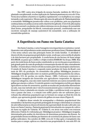 162 Biocontrole de doenças de plantas: uso e perspectivas
Em 1997, outra área irrigada da mesma fazenda, também de 102,4 ha e
plantada com jaborandi, recebeu aplicação de Pasteuria penetrans em cerca de 15 ha.
Nesta área também a bactéria se espalhou rapidamente e se multiplicou no campo
tornandoosolosupressivo.MesmoapósoitoanosdaaplicaçãodePasteuriapenetrans,
o nematóide Meloidogyne javanica não voltou a ser problema, pois sua população
continua baixa em ambas as áreas onde a bactéria foi aplicada. O nível de pilocarpina
voltou ao normal e as plantas não exibem sintomas novos do ataque do nematóide
(José Senna, pesquisador da Merck, comunicação pessoal), constituindo esse um
excelente exemplo de manejo sustentável do nematóide, sem a utilização de
nematicidas químicos.
A Experiência em Fumo em Santa Catarina
Em Santa Catarina, o setor fumageiro tem importância econômica e social.
Quarentaesetemilprodutoresruraiscatarinensesproduzemfumo(Nicotianatabacum)
e têm nesta cultura uma das principais fontes de renda familiar. A atividade é
desenvolvida em pequenas propriedades rurais, sendo que a área média de plantio
é de dois hectares por propriedade. A renda bruta de um hectare de fumo atinge
R$4.000,00, ao passo que o milho e o feijão rendem R$600,00/ha (Icepa, 2008). Boa
parte da renda bruta do fumo acaba constituindo-se em receita para os produtores,
poisgrandepartedocustodeproduçãoéremuneraçãodamão-de-obra,normalmente
familiar. A fumicultura é desenvolvida na maior parte dos municípios catarinenses.
O estado de Santa Catarina é o segundo maior produtor de fumo do Brasil, com
mais de 30% da produção. Os nematóides das galhas Meloidogyne javanica e
Meloidogyne incognita estão entre os maiores problemas fitossanitários da cultura,
causando 15% de perdas em média (Sasser, 1989). Cultivares resistentes a
Meloidogyne incognita são fornecidas aos agricultores cooperados de algumas
empresas tabageiras, mas não existe material resistente aos outros nematóides das
galhas que atacam a cultura. O controle químico com fumigantes era feito por alguns
agricultores na fase de sementeira, quando as mudas são produzidas diretamente
no solo, mas esse método não é viável economicamente para o controle no campo.
Quando o fumo é plantado em rotação com feijão, o problema tende a se agravar
com o passar dos anos, e a rotação com milho parece não ser suficiente para a
redução das altíssimas populações que se formam no campo ao final do ciclo da
cultura, que apresenta grande número de galhas em suas raízes (Figura 4).
O objetivo desse estudo foi acompanhar a dinâmica populacional dos
nematóides e da bactéria em período prolongado de tempo e determinar se a textura
do solo influenciaria no desenvolvimento da supressividade do solo cultivado com
fumo em Santa Catarina. Pasteuria penetrans foi introduzida em campos de cultivo
de fumo na região de Tubarão, SC (Tabela 2), em áreas com solos com texturas
diferentes (Tabela 3) e infestadas por Meloidogyne javanica e Meloidogyne incognita,
determinada pela análise de eletroforese de isoenzimas presentes nas fêmeas. As
propriedades foram escolhidas por histórico de ocorrência de plantas de fumo com
galhas radiculares. Em outubro de 2000, cerca de 15 dias após o transplantio das
mudas para o campo, aplicou-se a bactéria nas propriedades B, com solo 93% de
 