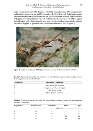 163Supressividade de Solo a Meloidogyne por Pasteuria penetrans
nos Estados do Maranhão e Santa Catarina
Figura 4. Galhas causadas por Meloidogyne javanica em raiz de fumo em Santa Catarina.
areia, e C, com solo com 54% de areia (Tabela 3). Em outubro de 2001, as aplicações
incluíram as propriedades A (92% de areia) e D (69% de areia). Aplicações anuais
foram feitas em 1.000 plantas centrais por parcela de 2.000 plantas, na quantidade
de 6 g de pó de raiz contendo 7,0 x 108
endósporos/g, suspensos em 20 l de água e
aplicados por pulverizador costal sem bico em jato contínuo nos pés das plantas
nas linhas de plantio, por dois anos consecutivos em cada área (Figura 5).
Tabela 2. Propriedades produtoras de fumo em Santa Catarina que receberam aplicações de
Pasteuria penetrans e suas localizações.
Propriedade Localidade, Município
A Barro Vermelho, Maracajá
B Sanga do Veado, Araranguá
C Rio Acima, Içara
D Linha Batista, Criciúma
Tabela 3. Composição textural dos solos das propriedades em Santa Catarina nas quais Pasteuria
penetrans foi aplicada.
Propriedade Areia Grossa Areia Fina Silte Argila
(dag/kg)
A 50 42 3 5
B 23 70 1 6
C 13 41 28 18
D 26 43 12 19
 