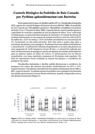 230 Biocontrole de doenças de plantas: uso e perspectivas
Controle Biológico da Podridão de Raiz Causada
por Pythium aphanidermatum com Bactérias
Dois isolados bacterianos de Bacillus subtilis (AP-3) e Paenibacillus lentimorbus
(OG), agentes de controle biológico da brusone do arroz (Bettiol, 1988) e da podridão
de raiz causada por Phytophthora parasitica e Phytophthora citrophthora em plantas
de limão ‘Cravo’ (Amorim & Melo, 2002), respectivamente, foram testados quanto à
capacidade de controlar a podridão de raiz em plantas de alface ‘Vera’ cultivadas
em hidroponia, no sistema de fluxo laminar de nutrientes. O controle da doença foi
avaliado adicionando-se nos tanques de solução nutritiva o meio de cultura (0,5%
de milhocina + 0,5% de melaço + 0,3% de fosfato monobásico) na concentração de
1%, fermentado ou não pelas bactérias, dois dias antes e quatro dias após a
inoculação das plantas com o patógeno. As plantas foram inoculadas artificialmente
e naturalmente. A artificial foi realizada mergulhando-se as raízes das plantas em
uma suspensão de 1x104
zoósporos/ml por 30 min. e a natural foi realizada por
meio da disseminação do patógeno a partir das plantas inoculadas artificialmente
para as plantas sadias na linha de cultivo. O delineamento foi em blocos
casualizados, com duas repetições compostas de 20 plantas cada repetição. No
final do experimento foram avaliadas as massas das plantas e a incidência do
patógeno nas raízes.
Paenibacillus lentimorbus e Bacillus subtilis diminuíram a incidência do
patógeno nas raízes das plantas inoculadas artificialmente em 67% e 17%,
respectivamente. Nas plantas naturalmente inoculadas a diminuição foi de 100% e
60%, respectivamente. As plantas apenas inoculadas com o patógeno (testemunha
inoculada) apresentaram o menor desenvolvimento, quando comparadas com as
dos demais tratamentos (Figura 1).
Figura 1. Efeito de Bacillus subtilis e Paenibacillus lentimorbus na massa fresca de plantas de alface
cultivadas em sistema hidropônico, e inoculadas artificialmente com Pythium aphanidermatum.
Médias seguidas pela mesma letra não diferem estatisticamente (Tukey 5%).
Bacillus subtilisTestemunha sem
sistema aéreo
a
sistema radicular total
inoculação
Testemunha
inoculada
Paenibacillus
lentimorbus
Massa(g)
350
300
250
200
100
150
0
50
a
a
b
a
b a
a
a
a
ab
a
 