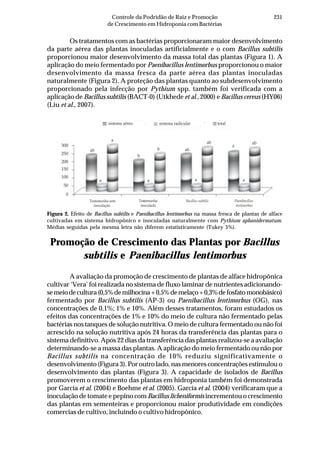 231Controle da Podridão de Raiz e Promoção
de Crescimento em Hidroponia com Bactérias
Os tratamentos com as bactérias proporcionaram maior desenvolvimento
da parte aérea das plantas inoculadas artificialmente e o com Bacillus subtilis
proporcionou maior desenvolvimento da massa total das plantas (Figura 1). A
aplicação do meio fermentado por Paenibacillus lentimorbus proporcionou o maior
desenvolvimento da massa fresca da parte aérea das plantas inoculadas
naturalmente (Figura 2). A proteção das plantas quanto ao subdesenvolvimento
proporcionado pela infecção por Pythium spp. também foi verificada com a
aplicação de Bacillus subtilis (BACT-0) (Utkhede et al., 2000) e Bacillus cereus (HY06)
(Liu et al., 2007).
Figura 2. Efeito de Bacillus subtilis e Paenibacillus lentimorbus na massa fresca de plantas de alface
cultivadas em sistema hidropônico e inoculadas naturalmente com Pythium aphanidermatum.
Médias seguidas pela mesma letra não diferem estatisticamente (Tukey 5%).
Bacillus subtilisTestemunha sem
sistema aéreo
ab
sistema radicular total
inoculação
Testemunha
inoculada
Paenibacillus
lentimorbus
300
250
200
150
50
100
0
a
a
b
a
b
a
ab
a
ab ab
a
Promoção de Crescimento das Plantas por Bacillus
subtilis e Paenibacillus lentimorbus
A avaliação da promoção de crescimento de plantas de alface hidropônica
cultivar ‘Vera’ foi realizada no sistema de fluxo laminar de nutrientes adicionando-
semeiodecultura(0,5%demilhocina+0,5%demelaço+0,3%defosfatomonobásico)
fermentado por Bacillus subtilis (AP-3) ou Paenibacillus lentimorbus (OG), nas
concentrações de 0,1%; 1% e 10%. Além desses tratamentos, foram estudados os
efeitos das concentrações de 1% e 10% do meio de cultura não fermentado pelas
bactérias nos tanques de solução nutritiva. O meio de cultura fermentado ou não foi
acrescido na solução nutritiva após 24 horas da transferência das plantas para o
sistema definitivo. Após 22 dias da transferência das plantas realizou-se a avaliação
determinando-se a massa das plantas. A aplicação do meio fermentado ou não por
Bacillus subtilis na concentração de 10% reduziu significativamente o
desenvolvimento (Figura 3). Por outro lado, nas menores concentrações estimulou o
desenvolvimento das plantas (Figura 3). A capacidade de isolados de Bacillus
promoverem o crescimento das plantas em hidroponia também foi demonstrada
por García et al. (2004) e Boehme et al. (2005). García et al. (2004) verificaram que a
inoculação de tomate e pepino com Bacillus licheniformis incrementou o crescimento
das plantas em sementeiras e proporcionou maior produtividade em condições
comercias de cultivo, incluindo o cultivo hidropônico.
 
