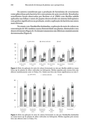 232 Biocontrole de doenças de plantas: uso e perspectivas
Os autores consideram que a produção de hormônios de crescimento
como giberelinas pela bactéria foi o mecanismo de ação envolvido. Resultados
semelhantes foram observados por Boehme et al. (2005) com Bacillus subtilis
aplicados nas folhas e raízes de pepino desenvolvido em sistema hidropônico
com ganhos significativos na produção, sendo a aplicação da bactéria nas raízes
mais eficiente.
No ensaio com Paenibacillus lentimorbus, a aplicação do meio de cultura na
concentração de 10% também causou fitotoxicidade nas plantas, diminuindo o seu
desenvolvimento (Figura 4). Os demais tratamentos não diferiram estatisticamente
da testemunha (Figura 4).
Figura 3. Efeito da aplicação de meio de cultura fermentado ou não por Bacillus subtilis na massa
fresca (g) de plantas de alface cultivadas em hidroponia. Médias seguidas pela mesma letra não
diferem estatisticamente entre si (Tukey 5%). Dados sem letra não foram significativos no teste F.
Figura 4. Efeito da aplicação de meio de cultura fermentado ou não por Paenibacillus lentimorbus
na massa fresca (g) de plantas de alface cultivadas em hidroponia. Médias seguidas pela mesma
letra não diferem entre si (Tukey 5%).
Meio de Cultura
(1%)
Meio de Cultura
(10%)
Bacillus subtilis
(0,1%)
Bacillus subtilis
(1%)
Bacillus subtilis
(10%)
parte aérea
a
sistema radicular total
Testemunha
100
80
60
20
40
0
ab
a
c
c
ab
b
b
ab
a
c
d
parte áerea
a
sistema radicular total
80
60
20
40
0
a
a
b
a
b
b
b
c
a
a
a
c
b
a
TestemunhaPaenibacillus
lentimorbus
(0,1%)
Meio
de cultura
(1%)
Meio de
cultura
(10%)
Paenibacillus
lentimorbus
(1%)
Paenibacillus
lentimorbus
(10%)
aa
a
 