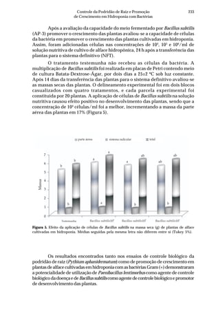 233Controle da Podridão de Raiz e Promoção
de Crescimento em Hidroponia com Bactérias
parte áerea sistema radicular total
7
Massa
6
5
4
3
2
1
0
Testemunha Bacillus subtilis104
Bacillus subtilis105
Bacillus subtilis106
b
b
b
a
a
a
a
ab
ab
ab
b b
Após a avaliação da capacidade do meio fermentado por Bacillus subtilis
(AP-3) promover o crescimento das plantas avaliou-se a capacidade de células
da bactéria em promover o crescimento das plantas cultivadas em hidroponia.
Assim, foram adicionadas células nas concentrações de 104
, 105
e 106
/ml de
solução nutritiva de cultivo de alface hidropônica, 24 h após a transferência das
plantas para o sistema definitivo (NFT).
O tratamento testemunha não recebeu as células da bactéria. A
multiplicação de Bacillus subtilis foi realizada em placas de Petri contendo meio
de cultura Batata-Dextrose-Ágar, por dois dias a 25±2 ºC sob luz constante.
Após 14 dias da transferência das plantas para o sistema definitivo avaliou-se
as massas secas das plantas. O delineamento experimental foi em dois blocos
casualizados com quatro tratamentos, e cada parcela experimental foi
constituída por 20 plantas. A aplicação de células de Bacillus subtilis na solução
nutritiva causou efeito positivo no desenvolvimento das plantas, sendo que a
concentração de 104
células/ml foi a melhor, incrementando a massa da parte
aérea das plantas em 17% (Figura 5).
Figura 5. Efeito da aplicação de células de Bacillus subtilis na massa seca (g) de plantas de alface
cultivadas em hidroponia. Médias seguidas pela mesma letra não diferem entre si (Tukey 5%).
Os resultados encontrados tanto nos ensaios de controle biológico da
podridão de raiz (Pythium aphanidermatum) como de promoção de crescimento em
plantas de alface cultivadas em hidroponia com as bactérias Gram (+) demonstraram
a potencialidade de utilização de Paenibacillus lentimorbus como agente de controle
biológicodadoençaedeBacillussubtiliscomoagentedecontrolebiológicoepromotor
de desenvolvimento das plantas.
 