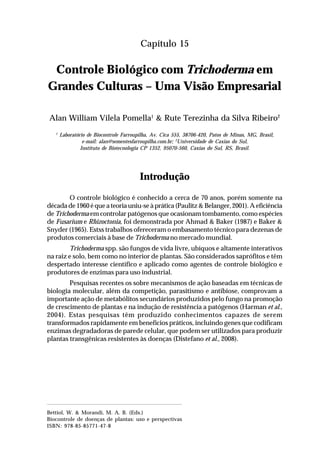 239Controle Biológico com Trichoderma em
Grandes Culturas – Uma Visão Empresarial
Capítulo 15
Controle Biológico com Trichoderma em
Grandes Culturas – Uma Visão Empresarial
Alan William Vilela Pomella1
& Rute Terezinha da Silva Ribeiro2
1
Laboratório de Biocontrole Farroupilha, Av. Cica 555, 38706-420, Patos de Minas, MG, Brasil,
e-mail: alan@sementesfarroupilha.com.br; 2
Universidade de Caxias do Sul,
Instituto de Biotecnologia CP 1352, 95070-560, Caxias do Sul, RS, Brasil.
Introdução
O controle biológico é conhecido a cerca de 70 anos, porém somente na
década de 1960 é que a teoria uniu-se à prática (Paulitz & Belanger, 2001). A eficiência
de Trichoderma em controlar patógenos que ocasionam tombamento, como espécies
de Fusarium e Rhizoctonia, foi demonstrada por Ahmad & Baker (1987) e Baker &
Snyder (1965). Estss trabalhos ofereceram o embasamento técnico para dezenas de
produtos comerciais à base de Trichoderma no mercado mundial.
Trichoderma spp. são fungos de vida livre, ubíquos e altamente interativos
na raiz e solo, bem como no interior de plantas. São considerados saprófitos e têm
despertado interesse científico e aplicado como agentes de controle biológico e
produtores de enzimas para uso industrial.
Pesquisas recentes os sobre mecanismos de ação baseadas em técnicas de
biologia molecular, além da competição, parasitismo e antibiose, comprovam a
importante ação de metabólitos secundários produzidos pelo fungo na promoção
de crescimento de plantas e na indução de resistência a patógenos (Harman et al.,
2004). Estas pesquisas têm produzido conhecimentos capazes de serem
transformados rapidamente em benefícios práticos, incluindo genes que codificam
enzimas degradadoras de parede celular, que podem ser utilizados para produzir
plantas transgênicas resistentes às doenças (Distefano et al., 2008).
Bettiol, W. & Morandi, M. A. B. (Eds.)
Biocontrole de doenças de plantas: uso e perspectivas
ISBN: 978-85-85771-47-8
 