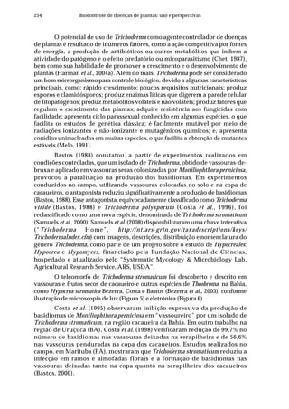 254 Biocontrole de doenças de plantas: uso e perspectivas
O potencial de uso de Trichoderma como agente controlador de doenças
de plantas é resultado de inúmeros fatores, como a ação competitiva por fontes
de energia, a produção de antibióticos ou outros metabólitos que inibem a
atividade do patógeno e o efeito predatório ou micoparasitismo (Chet, 1987),
bem como sua habilidade de promover o crescimento e o desenvolvimento de
plantas (Harman et al., 2004a). Além do mais, Trichoderma pode ser considerado
um bom microrganismo para controle biológico, devido a algumas características
principais, como: rápido crescimento; poucos requisitos nutricionais; produz
esporos e clamidósporos; produz enzimas líticas que digerem a parede celular
de fitopatógenos; produz metabólitos voláteis e não voláteis; produz fatores que
regulam o crescimento das plantas; adquire resistência aos fungicidas com
facilidade; apresenta ciclo parassexual conhecido em algumas espécies, o que
facilita os estudos de genética clássica; é facilmente mutável por meio de
radiações ionizantes e não-ionizante e mutagênicos químicos; e, apresenta
conídios uninucleados em muitas espécies, o que facilita a obtenção de mutantes
estáveis (Melo, 1991).
Bastos (1988) constatou, a partir de experimentos realizados em
condições controladas, que um isolado de Trichoderma, obtido de vassouras-de-
bruxa e aplicado em vassouras secas colonizadas por Moniliophthora perniciosa,
provocou a paralisação na produção dos basidiomas. Em experimentos
conduzidos no campo, utilizando vassouras colocadas no solo e na copa de
cacaueiros, o antagonista reduziu significativamente a produção de basidiomas
(Bastos, 1988). Esse antagonista, equivocadamente classificado como Trichoderma
viride (Bastos, 1988) e Trichoderma polysporum (Costa et al., 1996), foi
reclassificado como uma nova espécie, denominada de Trichoderma stromaticum
(Samuels et al., 2000). Samuels et al. (2008) disponibilizaram uma chave interativa
(“Trichoderma Home”, http://nt.ars-grin.gov/taxadescriptions/keys/
TrichodermaIndex.cfm) com imagens, descrições, distribuição e nomenclatura do
gênero Trichoderma, como parte de um projeto sobre o estudo de Hypocreales:
Hypocrea e Hypomyces, financiado pela Fundação Nacional de Ciências,
hospedado e atualizado pelo “Systematic Mycology & Microbiology Lab,
Agricultural Research Service, ARS, USDA”.
O teleomorfo de Trichoderma stromaticum foi descoberto e descrito em
vassouras e frutos secos de cacaueiro e outras espécies de Theobroma, na Bahia,
como Hypocrea stromatica Bezerra, Costa e Bastos (Bezerra et al., 2003), conforme
ilustração de microscopia de luz (Figura 5) e eletrônica (Figura 6).
Costa et al. (1995) observaram inibição expressiva da produção de
basidiomas de Moniliophthora perniciosa em “vassoureiro” por um isolado de
Trichoderma stromaticum, na região cacaueira da Bahia. Em outro trabalho na
região de Uruçuca (BA), Costa et al. (1998) verificaram redução de 99,7% no
número de basidiomas nas vassouras deixadas na serapilheira e de 56,6%
nas vassouras penduradas na copa dos cacaueiros. Estudos realizados no
campo, em Marituba (PA), mostraram que Trichoderma stromaticum reduziu a
infecção em ramos e almofadas florais e a formação de basidiomas nas
vassouras deixadas tanto na copa quanto na serapilheira dos cacaueiros
(Bastos, 2000).
 