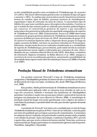 257Controle Biológico da Vassoura-de-Bruxa do Cacaueiro na Bahia
se alta variabilidade genética entre os isolados de Trichoderma spp. de cacaueiro
(1% a 85%). Não houve diferenciação genética entre os isolados do tipo selvagem
e mutante (= 96%). As análises das características morfo-biométricas incluíram
formas de conídios, tipos de fiálides, presença/ausência de clamidósporos,
esporulação e tipos de coloração em meio de cultura. A característica tipo de
fiálides foi a que mais contribuiu para a divergência dos isolados. Concluiu-se
que o isolado do tipo mutante pode ser utilizado para estudos epidemiológicos
por conservar as características genéticas da espécie e que marcadores
moleculares têm potencial na indicação da capacidade antagonística de espécies
de Trichoderma (Costa et al., 2003). Posteriormente, Souza et al. (2006) observaram
a existência de grupos genéticos distintos de Trichoderma stromaticum na região
cacaueira da Bahia por meio da técnica de AFLP, denominados de grupo I e II.
Os autores levantaram hipóteses sobre a dispersão desses grupos ao longo da
região cacaueira da Bahia, com base em amostras coletadas em 19 municípios.
Entretanto, estudos ainda devem ser realizados considerando-se a variabilidade
de espécies de Trichoderma que, provavelmente, pode existir devido às variações
dos agrossistemas nessas regiões evidenciadas por contrastes de solo, clima e
dinâmica de uso, conforme relato de Silva & Leite (1970). Além disso, a existência
do teleomorfo Hypocrea stromatica, na Bahia (Bezerra et al., 2003), assegura a
ocorrência de novas recombinações genéticas, aumentando a possibilidade da
diversidade dessa espécie muito além da relatada por Souza et al. (2006) e Pomella
et al. (2007).
Produção Massal de Trichoderma stromaticum
Um produto comercial (Tricovab®
) à base de Trichoderma stromaticum,
antagonista a Moniliophthora perniciosa, foi desenvolvido e é produzido na Unidade
de Biocontrole do Cepec na Ceplac, em Itabuna, BA, desde 1999 (Figura 8) (Bezerra
et al., 2000).
Esse produto, obtido pela fermentação de Trichoderma stromaticum em arroz
é recomendado para aplicação sobre as vassouras secas situadas no solo ou na
copa dos cacaueiros, inibindo a formação dos basidiomas de Moniliophthora
perniciosa. O produto é usado com sucesso para reduzir o potencial de inóculo do
patógeno nas plantações de cacau (Bezerra & Oliveira, 2008). A metodologia de
produção massal do fungo vem sendo aperfeiçoada, com o objetivo de manter o
custo baixo de produção e a produtividade elevada, para atender à grande demanda
(Niella, 2005).
A produção do Tricovab®
tem início com a multiplicação in vitro do fungo
Trichoderma stromaticum em placas de Petri. Antes de ser utilizado, o inóculo passa
por testes de qualidade para averiguar a presença de contaminantes. A semeadura
no substrato (arroz) é realizada com pulverizador costal de pressão retida, acoplado
a um cilindro de pressão. Após a inoculação, o substrato é mantido a 26 ºC, por três
a quatro dias, para que ocorra o desenvolvimento micelial. Nesta fase, ocorrem as
maiores perdas por fungos oportunistas ou contaminantes (gêneros mais frequentes:
Penicillium, Aspergillus e Chrysonilia).
 
