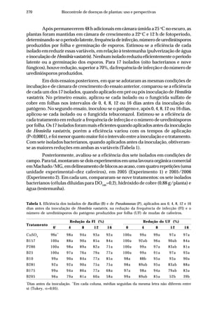 270 Biocontrole de doenças de plantas: uso e perspectivas
Após permanecerem 48 h adicionais em câmara úmida a 25 o
C no escuro, as
plantas foram mantidas em câmara de crescimento a 22o
C e 12 h de fotoperíodo,
determinando-seoperíodolatente,frequênciadeinfecção,númerodeurediniósporos
produzidos por folha e germinação de esporos. Estimou-se a eficiência de cada
isolado em reduzir essas variáveis, em relação à testemunha (pulverização de água
einoculaçãodeHemileia vastatrix).Nenhumisoladoreduziueficientementeoperíodo
latente ou a germinação dos esporos. Para 17 isolados (oito bacterianos e nove
fúngicos), houve redução, superior a 70%, da frequência de infecção e do número de
urediniósporos produzidos.
Em dois ensaios posteriores, em que se adotaram as mesmas condições de
incubação e de câmara de crescimento do ensaio anterior, comparou-se a eficiência
de cada um dos 17 isolados, quando aplicado em pré ou pós inoculação de Hemileia
vastatrix. No primeiro ensaio, aplicou-se cada isolado ou o fungicida sulfato de
cobre em folhas nos intervalos de 0, 4, 8, 12 ou 16 dias antes da inoculação do
patógeno. No segundo ensaio, inoculou-se o patógeno e, após 0, 4, 8, 12 ou 16 dias,
aplicou-se cada isolado ou o fungicida tebuconazol. Estimou-se a eficiência de
cada tratamento em reduzir a frequência de infecção e o número de urediniósporos
por folha. Os 17 isolados foram mais eficientes quando aplicados antes da inoculação
de Hemielia vastatrix, porém a eficiência variou com os tempos de aplicação
(P<0,0001),efoimenorquantomaiorfoiointervaloentreainoculaçãoeotratamento.
Com sete isolados bacterianos, quando aplicados antes da inoculação, obtiveram-
se as maiores reduções em ambas as variáveis (Tabela 1).
Posteriormente, avaliou-se a eficiência dos sete isolados em condições de
campo.Paratal,montaram-sedoisexperimentosemumalavouraorgânicacomercial
em Machado/MG, em delineamento de blocos ao acaso, com quatro repetições (uma
unidade experimental=dez cafeeiros), em 2005 (Experimento 1) e 2005/2006
(Experimento 2). Em cada um, compararam-se nove tratamentos: os sete isolados
bacterianos (células diluídas para DO540
=0,2), hidróxido de cobre (0,88 g/planta) e
água (testemunha).
Tabela 1. Eficiência dos isolados de Bacillus (B) e de Pseudomonas (P), aplicados aos 0, 4, 8, 12 e 16
dias antes da inoculação de Hemileia vastatrix, na redução da frequência de infecção (FI) e o
número de urediniósporos do patógeno produzidos por folha (UF) de mudas de cafeeiros.
Tratamento
Redução da FI (%) Redução do UF (%)
0*
4 8 12 16 0 4 8 12 16
CuSO4
99a**
98a 94a 93a 92a 100a 99a 99a 97a 97a
B157 100a 88a 90a 85a 84a 100a 92ab 96a 90ab 84a
P286 100a 98a 89a 82a 71a 100a 99a 97a 83ab 81a
B25 100a 97a 76a 79a 77a 100a 99a 91a 97a 93a
B10 99a 90a 84a 77a 85a 98a 88b 95a 93a 90a
B281 92a 92a 90a 75a 75a 98a 89ab 95a 83ab 88a
B175 99a 94a 86a 77a 68a 97a 98a 94a 79ab 83a
B205 96a 79a 81a 60a 58a 99a 89ab 85a 52b 39b
*
Dias antes da inoculação. **
Em cada coluna, médias seguidas da mesma letra não diferem entre
si (Tukey, α=0,05).
 