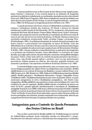 290 Biocontrole de doenças de plantas: uso e perspectivas
A doença também ocorre no Rio Grande do Sul, Minas Gerais, Espírito Santo,
Santa Catarina e Amazonas. O seu controle baseia-se na utilização de fungicidas
protetoresousistêmicos,isoladamenteoucombinados,associadosounãoaóleomineral
(Goesetal.,1990,Prates&Nogueira,1997).Bonsresultadosdecontrolesãoobtidoscom
intervalosdepulverizaçõesde50a55dias,nocasodefungicidasistêmico+protetores
(Goes, 1998) e de 28 dias para os fungicidas protetores (Schutte et al., 1997).
A queda prematura dos frutos cítricos (Colletotrichum acutatum) ocorre nos
trópicos e subtrópicos úmidos das Américas. No Brasil, a doença foi relatada
inicialmente no Rio Grande do Sul (Dornelles, 1977) e, atualmente, está presente nos
estadosdeSãoPaulo,RiodeJaneiro,Paraná,Bahia,MinasGerais,GoiáseAmazonas.
Condições que propiciam mais de uma florada ou variedades que florescem mais de
umavezporano,favorecemaocorrênciadadoença.NoBrasil,adoençaémaissevera
nos limões verdadeiros, em lima ácida ‘Tahiti’, no limão ‘Galego’ e na laranja ‘Pêra’
(Feichtenberger, 1991). A medida predominante de controle da queda prematura dos
frutos cítricos é a pulverização com fungicidas na época da florada. Uma das
dificuldades de se controlar a doença é que ela é mais severa quando períodos longos
dechuvaouumidadeelevadaocorremporocasiãodopicodeflorescimento(Denham
& Waller, 1981). Nessas condições é mais difícil efetuar as aplicações dos fungicidas
e os produtos são facilmente lavados. Outra dificuldade é a ocorrência de várias
floradas,queexigemaiornúmerodepulverizaçõeseaumentaodesequilíbriobiológico
do pomar. Talvez o fator mais crítico no controle da queda prematura dos frutos, a
baixo custo, seja decidir quando aplicar o produto, uma vez que pulverizações
preventivas, embora possam ser efetivas, são onerosas, podendo inclusive não
aumentar a produção, caso seja baixa a incidência da doença (Timmer et al., 1994).
Ocontrolebiológicosurgecomoalternativa,pois,emmuitoscasos,constitui-se
em tecnologia poupadora de capital. Dentre os antagonistas mais estudados, Bacillus
subtilis destaca-se no controle de doenças do filoplano e em pós-colheita (Pusey et al.,
1986;Ferreiraetal.,1991;Bettioletal.,1994).Kalitaetal.(1996)isolarambactérias(Bacillus
subtilis, Bacillus polymyxa e Pseudomonas fluorescens) e fungos (Aspergillus terreus,
Trichoderma viride e Trichoderma harzianum) da parte aérea de plantas cítricas, os quais
mostraram antagonismo in vitro à Xanthomonas axonopodis pv. citri. Dentre esses
antagonistas,Bacillussubtilisfoioqueproduziuamaiorzonadeinibição(14,7mm).Sob
condições de casa-de-vegetação, Bacillus subtilis reduziu a incidência da doença em
torno de 61,9%, quando aplicado simultaneamente à inoculação de Xanthomonas
axonopodis.Sonoda&Guo(1996)verificaramaeficiênciadoprodutoKodiak®(Bacillus
subtilis) no controle da queda prematura de frutos cítricos em três pomares de laranja
‘Natal’ na Flórida. Poucas flores foram infectadas e poucos cálices ficaram retidos em
árvoresprotegidascomabactéria,quandocomparadocomatestemunha,alémdoque
opegamentodosfrutosfoimaioremplantastratadascomoproduto.
Antagonistas para o Controle da Queda Prematura
dos Frutos Cítricos no Brasil
Para avaliar o potencial de Bacillus subtilis e de Trichoderma spp no controle
de Colletotrichum acutatum, foram realizados estudos em laboratório e campo.
Inicialmente foi realizada a seleção e a identificação dos antagonistas e analisadas
 