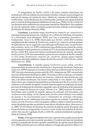 302 Biocontrole de doenças de plantas: uso e perspectivas
O antagonismo de Bacillus subtilis e de outros isolados bacterianos foi
avaliado por meio da inibição do crescimento micelial e redução na percentagem de
infecção da doença em mudas de citros, obtidas de sementes microbiolidas com
rizobactérias. A microbiolização de sementes pode constituir uma opção potencial
para o controle de fitopatógenos habitantes do solo (Luz, 1993b). Bacillus subtilis foi
um dos mais ativos inibidores do crescimento micelial de Phytophthora.Emcondições
de casa de vegetação, todos os isolados proporcionaram redução na percentagem
de infecção da doença (Amorim, 2002).
Crucíferas. A podridão negra (Xanthomonas campestris pv. campestris) é a
principal doença bacteriana das crucíferas. Se a cultura for infectada, recomenda-
se a eliminação total (Marigoni, 2005), por isso o tratamento preventivo é
fundamental. Assis et al. (1996) observaram que Bacillus subtilis R14 controlou
completamentetrêsisoladosdeXanthomonascampestrispv.campestrisemtodoperíodo
de aplicação em couve, sugerindo uma utilização da bactéria como uso preventivo
para a doença. Assis et al. (1997) confirmaram essa eficiência em ensaios de campo,
onde o mesmo isolado promoveu a redução de 73% da doença em brócolis. Além do
Bacillus subtilis R14, outras três espécies mostraram eficácia de controle, incluindo
Bacillus pumilus C116. Em outro estudo, a partir de nove isolados de Bacillus testados
in vitro contra Xanthomonas campestris pv. campestris, apenas quatro espécies
mostraram atividade antibiótica, dentre elas Bacillus pumilus C116 e Bacillus subtilis
R14 (Luna et al., 2002).
Cucurbitáceas. A mancha aquosa (Acidovorax avenae subsp. citrulli) é
responsável por grandes perdas de produção e depreciação dos frutos. Desde que
Assis et al. (1999) relataram a ocorrência dessa doença no Rio Grande do Norte em
1997, têm sido assinaladas perdas entre 40 a 50%, atingindo até 100% em períodos
chuvosos (Sales Júnior & Menezes, 2001). Os mesmos autores citam que as medidas
eficientes para controle da doença são escassas e depois de introduzida em uma
área, é de difícil erradicação. Em ensaios conduzidos in vitro, Santos et al. (2006),
observaram que compostos lipopeptídicos produzidos por Bacillus pumillus C116
inibiram o crescimento do agente causal da mancha-aquosa em plântulas de melão
por meio do tratamento de sementes, sugerindo a provável eficácia deste tratamento
para prevenção da doença em campo. Oliveira et al. (2006) testaram 96 isolados
bacterianos para controle da mancha aquosa em sementes pré-inoculadas com
Acidovorax avenae subsp. citrulli. Dentre estes, Bacillus subtilis reduziu a severidade
da doença e foi recomendado para o tratamento de sementes infectadas,
isoladamente ou em combinação com outros agentes de controle. A podridão das
raízes e do colo (Fusarium solani) em pepino, abóbora, melão e melancia ocasiona a
morte de plantas quando em plantios consecutivos sob plasticultura. (Kurozawa et
al., 2005). De 18 isolados de bactérias da rizosfera de plantas sadias de pepino, três
foram eficientes no antagonismo a Fusarium solani, sendo dois isolados de Bacillus
subtilis. Em casa-de-vegetação, Bacillus subtilis 0G, controlou totalmente o patógeno
(Melo & Valarini, 1995).
Feijão. A ferrugem do feijoeiro (Uromyces appendiculatus) pode causar danos
severos quando ocorre precocemente na cultura. O controle por meio de resistência
genética é prejudicado devido à grande variabilidade do agente causal (Bianchini
et al., 2005), portanto para seu controle utilizam-se fungicidas químicos. Baker et al.
 
