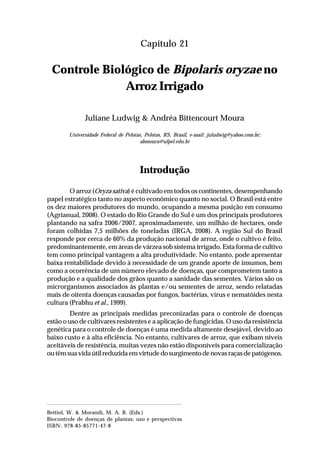 317Controle Biológico de Bipolaris oryzae no Arroz Irrigado
Capítulo 21
Controle Biológico de Bipolaris oryzae no
Arroz Irrigado
Juliane Ludwig & Andréa Bittencourt Moura
Universidade Federal de Pelotas, Pelotas, RS, Brasil, e-mail: juludwig@yahoo.com.br;
abmoura@ufpel.edu.br
Introdução
O arroz (Oryza sativa) é cultivado em todos os continentes, desempenhando
papel estratégico tanto no aspecto econômico quanto no social. O Brasil está entre
os dez maiores produtores do mundo, ocupando a mesma posição em consumo
(Agrianual, 2008). O estado do Rio Grande do Sul é um dos principais produtores
plantando na safra 2006/2007, aproximadamente, um milhão de hectares, onde
foram colhidas 7,5 milhões de toneladas (IRGA, 2008). A região Sul do Brasil
responde por cerca de 60% da produção nacional de arroz, onde o cultivo é feito,
predominantemente, em áreas de várzea sob sistema irrigado. Esta forma de cultivo
tem como principal vantagem a alta produtividade. No entanto, pode apresentar
baixa rentabilidade devido à necessidade de um grande aporte de insumos, bem
como a ocorrência de um número elevado de doenças, que comprometem tanto a
produção e a qualidade dos grãos quanto a sanidade das sementes. Vários são os
microrganismos associados às plantas e/ou sementes de arroz, sendo relatadas
mais de oitenta doenças causadas por fungos, bactérias, vírus e nematóides nesta
cultura (Prabhu et al., 1999).
Dentre as principais medidas preconizadas para o controle de doenças
estão o uso de cultivares resistentes e a aplicação de fungicidas. O uso da resistência
genética para o controle de doenças é uma medida altamente desejável, devido ao
baixo custo e à alta eficiência. No entanto, cultivares de arroz, que exibam níveis
aceitáveis de resistência, muitas vezes não estão disponíveis para comercialização
outêmsuavidaútilreduzidaemvirtudedosurgimentodenovasraçasdepatógenos.
Bettiol, W. & Morandi, M. A. B. (Eds.)
Biocontrole de doenças de plantas: uso e perspectivas
ISBN: 978-85-85771-47-8
 