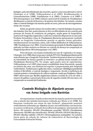 319Controle Biológico de Bipolaris oryzae no Arroz Irrigado
biológico, pela microbiolização das sementes, aparece como uma alternativa viável.
Chatergee et al. (1996), Vidhyasekaran et al. (1997), Krishhnamurthy &
Gnanamaniackam (1998), Nandakumar et al. (2001), Commare et al. (2002) e
Wiwattanapatapee et al. (2004) relatam o potencial de isolados de Pseudomonas e
Bacillus para o controle da brusone e da queima-das-bainhas. No entanto, estudos
sobre o controle biológico da mancha-parda em arroz, pelo uso de microrganismos,
ainda são escassos.
Existe um grande número de estudos sobre o controle biológico da queima-
das-bainhas. Esse fato, possivelmente se deve as dificuldades de seu controle pela
presença de formas de resistência do patógeno, ampla gama de hospedeiros,
ausência de fungicidas registrados e cultivares resistentes disponíveis no mercado.
Produtos formulados à base de Pseudomonas fluorescens apresentaram resultado
similar ao fungicida Carbendazim quando os agentes foram aplicados,
simultaneamente em sementes, raízes, solo e folhas (Rabindran & Vidhyasekaran,
1996; Nandakumar et al., 2001). Uma formulação granulada de Bacillus megaterium
aplicada via foliar mostrou-se eficiente no controle da doença em comparação ao
fungicida Iprodione (Wiwattanapatapee et al., 2007).
Para a brusone, em ensaios conduzidos em casa-de-vegetação e no campo,
Chatergee et al. (1996) observaram que o isolado Pf714 de Pseudomonas fluorescens foi
mais eficiente que o fungicida Tricyclazole. Também foi possível observar redução
na intensidade da doença quando as sementes e as plantas foram tratadas com
Pseudomonas fluorescens Pf1. No campo, após quatro anos de experimentos,
Vidhyasekaran et al. (1997) observaram a estabilidade desse biocontrole, quando
na maioria dos anos, sua eficiência foi superior à proporcionada pelo fungicida
Carbendazim. Também para a galha das raízes, causada por Meloidogyne graminicola
Golden & Birchfield, o controle biológico é importante, devido à ineficiência do
controle químico e à inexistência de cultivar resistente, sendo que Padgham e Sikora
(2007) observaram que Bacillus megaterium reduziu a eclosão de ovos (in vitro), o
número de galhas e a penetração de juvenis de segundo estádio (J2) nas raízes, em
comparação ao nematicida Fosthiazate.
Controle Biológico de Bipolaris oryzae
em Arroz Irrigado com Bactérias
Os experimentos visando ao biocontrole da mancha-parda tiveram início
com a seleção dos isolados bacterianos realizada por Moura et al. (1998). Em
bioensaio conduzido em caixas do tipo Gerbox®, plaqueando sementes
artificialmente infestadas por Bipolaris oryzae e microbiolizadas com bactérias,
os autores verificaram a redução da incidência do patógeno, selecionando oito
dentre 185 isolados: DFs185 (Pseudomonas synxatha), DFs223 (Pseudomonas
fluorescens), DFs306 (não identificado), DFs416, DFs418 e DFs419 (Bacillus sp.),
DFs422 (Bacillus subtilis) e DFs471 (Stenotrophomonas maltophilia). Os isolados
fazem parte da coleção de culturas do Laboratório de Bacteriologia da
Universidade Federal de Pelotas.
 