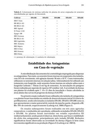 321Controle Biológico de Bipolaris oryzae no Arroz Irrigado
Estabilidade dos Antagonistas
em Casa-de-vegetação
Amicrobiolizaçãodassementesfoiametodologiaempregadaparadispensar
os antagonistas. Para tanto, as sementes foram imersas em suspensões dos isolados,
com 24 h de crescimento, sob agitação durante 30 min a 10 ºC. Como testemunha,
utilizaram-se sementes imersas em solução salina. Adicionalmente foi utilizado um
tratamento com fungicida, onde sementes foram imersas em solução salina mais o
fungicida Carboxin + Thiran (3 ml/kg de sementes). As inoculações do patógeno
foram realizadas por aspersão de esporos (105
conídios/ml). A severidade da doença
nas plantas foi avaliada após 7, 14 e 21 dias da inoculação e foram calculadas as
áreas abaixo das curvas de progresso da doença (AACPD).
No primeiro ensaio realizado foram utilizados oito isolados de antagonistas
e as plantas foram inoculadas em estádio de desenvolvimento inicial V4 (início do
perfilhamento), sendo selecionados os isolados DFs185, DFs223 e DFs306 como os
que apresentaram o maior potencial de controle da mancha-parda, chegando a 80,
86 e 70% de controle, respectivamente (Ludwig et al., 2004) (Figura 1).
Os ensaios subsequentes foram realizados em três anos agrícolas
consecutivos e conduzidos até a produção, utilizando os isolados DFs185, DFs223
e DFs306. As plantas foram inoculadas em estádio reprodutivo R3
(emborrachamento), sendo possível observar, desta forma, que houve estabilidade
do efeito dos antagonistas, principalmente pelo isolado DFs306. Reduções
significativas foram observadas na severidade da doença (Figura 2) bem como
incrementos significativos na produção (Figura 3) (Ludwig et al., 2007d).
Tabela 2. Colonização do sistema radicular de plantas de arroz originadas de sementes
microbiolizadas por agentes de biocontrole.
Cultivar DFs185 DFs223 DFs306 DFs416 DFs418
BRS7-Taim + + + + +
BR-IRGA 413 + - + + -
BR-IRGA 414 - + + - +
BRS Agrisul + + + - -
El Passo L144 + + + + +
Epagri 108 + + + + +
BRS Formosa + + + + +
BR-IRGA 411 + + + + +
BRS Ligeirinho + + + + +
BRS Atalanta + + + + +
BRS Bojuru + + + + +
BRS 6-Chuí + + + + +
BRS Firmeza + + + + +
BRS Pelota + + + + +
(+) presença de colonização; (-) ausência de colonização
 