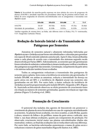 325Controle Biológico de Bipolaris oryzae no Arroz Irrigado
Tabela 4. Severidade da mancha-parda expressa em área abaixo da curva de progresso da
doença (AACPD) e atividade específica de peroxidases (nkat/mg de proteína solúvel total), em
folhas de arroz originadas de sementes microbiolizadas com os antagonistas e inoculadas com
Bipolaris oryzae
DFs185 DFs223 DFs306 T T+F
AACPD 34,1b* 29,75bc 19,25c 47,25a 35,9ab
Atividade de peroxidases 0,105b 0,110b 0,252a 0,122b 0,111b
*médias seguidas de mesma letra, na linha, não diferem entre si (Tukey 5%); T= testemunha,
T+F= fungicidas Carboxin+Thiran.
Redução do Inóculo Inicial e da Transmissão de
Patógenos por Sementes
Amostras de sementes natural e altamente infestadas/infectadas por
Bipolaris oryzae e Gerlachya oryzae foram microbiolizadas e colocadas para germinar
em copos de 50 ml contendo substrato autoclavado. Após 21 dias, foram atribuídas
notas a cada planta de acordo com a intensidade dos sintomas segundo escala
desenvolvida por Farias (2007). Adicionalmente, as sementes que não germinaram
foram retiradas do substrato e submetidas à câmara úmida para verificar a incidência
dos patógenos na superfície das sementes. Germinação, comprimento da parte aérea
e do sistema radicular também foram avaliados.
Todos os antagonistas reduziram a transmissão dos patógenos da
semente para a planta, bem como a incidência em sementes não germinadas. O
isolado DFs306, em ambas as amostras, reduziu a intensidade da doença na
parte aérea em até 60% e a incidência de Bipolaris oryzae nas sementes não
germinadas em até 26%. Por outro lado, a maior redução da incidência de
Gerlachya oryzae foi proporcionada pelo isolado DFs223, chegando a 30% (Figura
6). Associado ao biocontrole observou-se efeito promotor de crescimento tanto
em relação ao número de sementes germinadas, quanto em relação ao vigor das
plantas (Figura 7) (Ludwig et al., 2005).
Promoção de Crescimento
O potencial dos isolados dos agentes de biocontrole em promover o
crescimento de plantas de arroz foi estudado em casa-de-vegetação microbiolizando
as sementes. As plantas foram avaliadas, em cinco ocasiões, a cada 30 dias, quanto
à altura, número de folhas e de perfilhos, massa da parte aérea e radicular, área
foliar e, nas duas últimas avaliações, quanto aos componentes de produção. Foi
observado crescimento inicial maior nas plantas microbiolizadas (dados não
mostrados), embora, ao final das avaliações não se tenha observada essa diferença.
Por outro lado, as bactérias selecionadas aumentaram a massa de grãos secos e
reduziram o número de grãos manchados (Figura 8) (Santos et al., 2001).
 