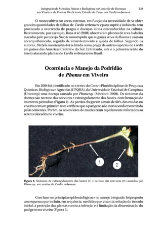 339Integração de Métodos Físicos e Biológicos no Controle de Doenças
em Viveiros de Plantas Medicinais: Estudo de Caso com Cordia verbenacea
O monocultivo em áreas extensas, em função da necessidade de se obter
grandes quantidades de folhas de Cordia verbenacea e para suprir a indústria, tem
provocado a ocorrência de pragas e doenças ainda desconhecidas na cultura.
Recentemente, por exemplo, Rosa et al. (2008) observaram plantas de erva-baleeira
atacadas pelo percevejo Dictyla monotropidia, que sugam a seiva do floema e causam
encarquilhamento, seguido de amarelecimento e queda de folhas. Segundo os
autores, Dictyla monotropidia foi relatada como praga de outras espécies de Cordia
em países das Américas Central e do Sul. Entretanto, este é o primeiro relato do
inseto atacando plantas de Cordia verbenacea no Brasil.
Ocorrência e Manejo da Podridão
de Phoma em Viveiro
Em 2004 foi identificado no viveiro do Centro Pluridisciplinar de Pesquisas
Químicas, Biológicas e Agrícolas (CPQBA), da Universidade Estadual de Campinas
(Unicamp) uma doença causada por Phoma sp. (Morandi, 2008). Os sintomas da
doença são necrose das nervuras e estrangulamento das hastes, com formação de
inúmeros picinídios (Figura 2). As perdas chegaram a mais de 60% das mudas no
viveiroeemumprimeirotesteverificouqueopatógenonãoestavasendotransmitido
pelas sementes. Porém, os novos lotes de mudas eram rapidamente infectados ao
serem colocados no viveiro.
Figura 2. Sintomas de estrangulamento das hastes (1) e necrose das nervuras (2) causados por
Phoma sp. em mudas de Cordia verbenacea.
Combaseemprincípiosepidemiológicosenomanejointegrado,foiproposto
um esquema que incluiu, em sequência, medidas que visam à redução do inoculo
inicial, à proteção das plantas contra a infecção e à limitação da disseminação do
patógeno no viveiro (Figura 3).
 