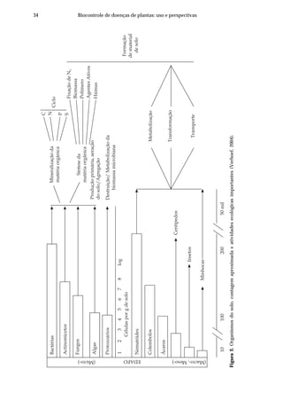 34 Biocontrole de doenças de plantas: uso e perspectivas
Figura2.Organismosdosolo,contagemaproximadaeatividadesecológicasimportantes(Verhoef,2004).
C
Bactérias
Actinomicetos
Fungos
Algas
Protozoários
12345678log
Célulasporgdesolo
Nematóides
Colembolos
Ácaros
Centípedos
Insetos
Minhocas
1010020050mil
Mineralizaçãoda
matériaorgânica
Sínteseda
matériaorgânica
N
P
S
Ciclo
FixaçãodeN2
Biomassa
Polímero
AgentesAtivos
Húmus
Produçãoprimária,aeração
dosolo/Agregação
Destruição/Metabolizaçãoda
biomassamicrobiana
Metabolização
Transformação
Transporte
Formação
dematerial
desolo
EDAFO (Macro-,Meso-)(Micro-)
 