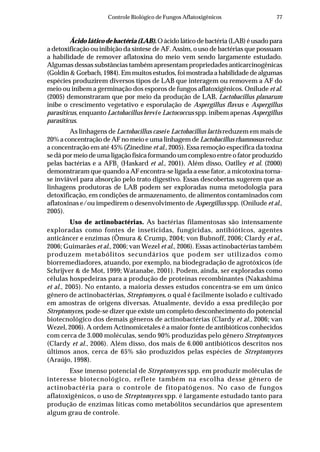77Controle Biológico de Fungos Aflatoxigênicos
Ácido lático de bactéria (LAB). O ácido lático de bactéria (LAB) é usado para
a detoxificação ou inibição da síntese de AF. Assim, o uso de bactérias que possuam
a habilidade de remover aflatoxina do meio vem sendo largamente estudado.
Algumas dessas substâncias também apresentam propriedades anticarcinogênicas
(Goldin & Gorbach, 1984). Em muitos estudos, foi mostrada a habilidade de algumas
espécies produzirem diversos tipos de LAB que interagem ou removem a AF do
meio ou inibem a germinação dos esporos de fungos aflatoxigênicos. Onilude et al.
(2005) demonstraram que por meio da produção de LAB, Lactobacillus planarum
inibe o crescimento vegetativo e esporulação de Aspergillus flavus e Aspergillus
parasiticus, enquanto Lactobacillus brevi e Lactococcus spp. inibem apenas Aspergillus
parasiticus.
As linhagens de Lactobacillus casei e Lactobacillus lactis reduzem em mais de
20% a concentração de AF no meio e uma linhagem de Lactobacillus rhamnosus reduz
a concentração em até 45% (Zinedine et al., 2005). Essa remoção específica da toxina
se dá por meio de uma ligação física formando um complexo entre o fator produzido
pelas bactérias e a AFB1
(Haskard et al., 2001). Além disso, Oatlley et al. (2000)
demonstraram que quando a AF encontra-se ligada a esse fator, a micotoxina torna-
se inviável para absorção pelo trato digestivo. Essas descobertas sugerem que as
linhagens produtoras de LAB podem ser exploradas numa metodologia para
detoxificação, em condições de armazenamento, de alimentos contaminados com
aflatoxinas e/ou impedirem o desenvolvimento de Aspergillus spp. (Onilude et al.,
2005).
Uso de actinobactérias. As bactérias filamentosas são intensamente
exploradas como fontes de inseticidas, fungicidas, antibióticos, agentes
anticâncer e enzimas (Õmura & Crump, 2004; von Bubnoff, 2006; Clardy et al.,
2006; Guimarães et al., 2006; van Wezel et al., 2006). Essas actinobactérias também
produzem metabólitos secundários que podem ser utilizados como
biorremediadores, atuando, por exemplo, na biodegradação de agrotóxicos (de
Schrijver & de Mot, 1999; Watanabe, 2001). Podem, ainda, ser exploradas como
células hospedeiras para a produção de proteínas recombinantes (Nakashima
et al., 2005). No entanto, a maioria desses estudos concentra-se em um único
gênero de actinobactérias, Streptomyces, o qual é facilmente isolado e cultivado
em amostras de origens diversas. Atualmente, devido a essa predileção por
Streptomyces, pode-se dizer que existe um completo desconhecimento do potencial
biotecnológico dos demais gêneros de actinobactérias (Clardy et al., 2006; van
Wezel, 2006). A ordem Actinomicetales é a maior fonte de antibióticos conhecidos
com cerca de 3.000 moléculas, sendo 90% produzidas pelo gênero Streptomyces
(Clardy et al., 2006). Além disso, dos mais de 6.000 antibióticos descritos nos
últimos anos, cerca de 65% são produzidos pelas espécies de Streptomyces
(Araújo, 1998).
Esse imenso potencial de Streptomyces spp. em produzir moléculas de
interesse biotecnológico, reflete também na escolha desse gênero de
actinobactéria para o controle de fitopatógenos. No caso de fungos
aflatoxigênicos, o uso de Streptomyces spp. é largamente estudado tanto para
produção de enzimas líticas como metabólitos secundários que apresentem
algum grau de controle.
 