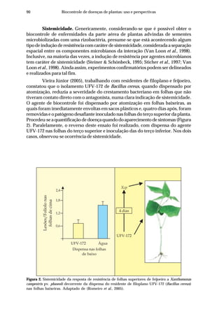 90 Biocontrole de doenças de plantas: uso e perspectivas
Sistemicidade. Genericamente, considerando-se que é possível obter o
biocontrole de enfermidades da parte aérea de plantas advindas de sementes
microbiolizadas com uma rizobactéria, presume-se que está acontecendo algum
tipo de indução de resistência com caráter de sistemicidade, considerada a separação
espacial entre os componentes microbianos da interação (Van Loon et al., 1998).
Inclusive, na maioria das vezes, a indução de resistência por agentes microbianos
tem caráter de sistemicidade (Steiner & Schönbeck, 1995; Sticher et al., 1997; Van
Loon et al., 1998). Ainda assim, experimentos confirmatórios podem ser delineados
e realizados para tal fim.
Vieira Júnior (2005), trabalhando com residentes de filoplano e feijoeiro,
constatou que o isolamento UFV-172 de Bacillus cereus, quando dispensado por
atomização, reduzia a severidade do crestamento bacteriano em folhas que não
tiveram contato direto com o antagonista, numa clara indicação de sistemicidade.
O agente de biocontrole foi dispensado por atomização em folhas baixeiras, as
quais foram imediatamente envoltas em sacos plásticos e, quatro dias após, foram
removidas e o patógeno desafiante inoculado nas folhas do terço superior da planta.
Procedeu-se a quantificação de doença quando do aparecimento de sintomas (Figura
2). Paralelamente, o reverso deste ensaio foi realizado, com dispensa do agente
UFV-172 nas folhas do terço superior e inoculação das do terço inferior. Nos dois
casos, observou-se ocorrência de sistemicidade.
Figura 2. Sistemicidade da resposta de resistência de folhas superiores de feijoeiro a Xanthomonas
campestris pv. phaseoli decorrente da dispensa do residente de filoplano UFV-172 (Bacillus cereus)
nas folhas baixeiras. Adaptado de (Romeiro et al., 2005).
Dispensa nas folhas
de baixo
Lesões/Folíolonas
folhasdecima
2,4
1,8
1,2
0,6
UFV-172 Água
Xcp
UFV-172
4 dias
 