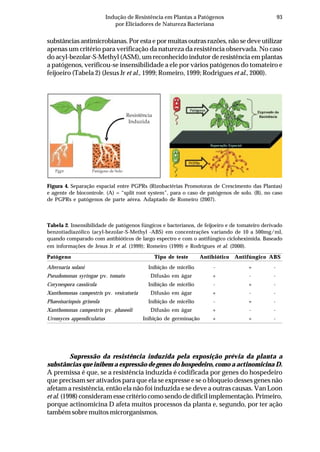 93Indução de Resistência em Plantas a Patógenos
por Eliciadores de Natureza Bacteriana
substâncias antimicrobianas. Por esta e por muitas outras razões, não se deve utilizar
apenas um critério para verificação da natureza da resistência observada. No caso
do acyl-bezolar-S-Methyl (ASM), um reconhecido indutor de resistência em plantas
a patógenos, verificou-se insensibilidade a ele por vários patógenos do tomateiro e
feijoeiro (Tabela 2) (Jesus Jr et al., 1999; Romeiro, 1999; Rodrigues et al., 2000).
Figura 4. Separação espacial entre PGPRs (Rizobactérias Promotoras de Crescimento das Plantas)
e agente de biocontrole. (A) = “split root system”, para o caso de patógenos de solo. (B), no caso
de PGPRs e patógenos de parte aérea. Adaptado de Romeiro (2007).
Resistência
Induzida
Pgpr Patógeno de Solo
Tabela 2. Insensibilidade de patógenos fúngicos e bacterianos, de feijoeiro e de tomateiro derivado
benzotiadiazólico (acyl-bezolar-S-Methyl -ABS) em concentrações variando de 10 a 500mg/ml,
quando comparado com antibióticos de largo espectro e com o antifúngico cicloheximida. Baseado
em informações de Jesus Jr et al. (1999); Romeiro (1999) e Rodrigues et al. (2000).
Patógeno Tipo de teste Antibiótico Antifúngico ABS
Alternaria solani Inibição de micélio - + -
Pseudomonas syringae pv. tomato Difusão em ágar + - -
Corynespora cassiicola Inibição de micélio - + -
Xanthomonas campestris pv. vesicatoria Difusão em ágar + - -
Phaeoisariopsis griseola Inibição de micélio - + -
Xanthomonas campestris pv. phaseoli Difusão em ágar + - -
Uromyces appendiculatus Inibição de germinação + + -
Supressão da resistência induzida pela exposição prévia da planta a
substâncias que inibem a expressão de genes do hospedeiro, como a actinomicina D.
A premissa é que, se a resistência induzida é codificada por genes do hospedeiro
que precisam ser ativados para que ela se expresse e se o bloqueio desses genes não
afetam a resistência, então ela não foi induzida e se deve a outras causas. Van Loon
et al. (1998) consideram esse critério como sendo de difícil implementação. Primeiro,
porque actinomicina D afeta muitos processos da planta e, segundo, por ter ação
também sobre muitos microrganismos.
 