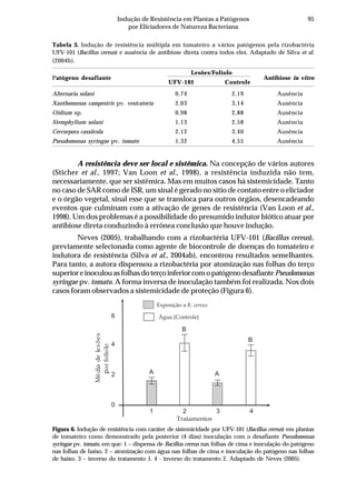 95Indução de Resistência em Plantas a Patógenos
por Eliciadores de Natureza Bacteriana
Tabela 3. Indução de resistência múltipla em tomateiro a vários patógenos pela rizobactéria
UFV-101 (Bacillus cereus) e ausência de antibiose direta contra todos eles. Adaptado de Silva et al.
(2004b).
Patógeno desafiante
Lesões/Folíolo
Antibiose in vitro
UFV-101 Controle
Alternaria solani 0,74 2,19 Ausência
Xanthomonas campestris pv. vesicatoria 2,03 3,14 Ausência
Oidium sp. 0,98 2,88 Ausência
Stemphylium solani 1,13 2,58 Ausência
Cercorpora cassiicola 2,12 3,40 Ausência
Pseudomonas syringae pv. tomato 1,32 4,55 Ausência
A resistência deve ser local e sistêmica. Na concepção de vários autores
(Sticher et al., 1997; Van Loon et al., 1998), a resistência induzida não tem,
necessariamente, que ser sistêmica. Mas em muitos casos há sistemicidade. Tanto
no caso de SAR como de ISR, um sinal é gerado no sítio de contato entre o eliciador
e o órgão vegetal, sinal esse que se transloca para outros órgãos, desencadeando
eventos que culminam com a ativação de genes de resistência (Van Loon et al.,
1998). Um dos problemas é a possibilidade do presumido indutor biótico atuar por
antibiose direta conduzindo à errônea conclusão que houve indução.
Neves (2005), trabalhando com a rizobactéria UFV-101 (Bacillus cereus),
previamente selecionada como agente de biocontrole de doenças do tomateiro e
indutora de resistência (Silva et al., 2004ab), encontrou resultados semelhantes.
Para tanto, a autora dispensou a rizobactéria por atomização nas folhas do terço
superioreinoculouasfolhasdoterçoinferiorcomopatógenodesafiantePseudomonas
syringae pv. tomato. A forma inversa de inoculação também foi realizada. Nos dois
casos foram observados a sistemicidade de proteção (Figura 6).
Figura 6. Indução de resistência com caráter de sistemicidade por UFV-101 (Bacillus cereus) em plantas
de tomateiro como demonstrado pela posterior (4 dias) inoculação com o desafiante Pseudomonas
syringae pv. tomato, em que: 1 – dispensa de Bacillus cereus nas folhas de cima e inoculação do patógeno
nas folhas de baixo. 2 – atomização com água nas folhas de cima e inoculação do patógeno nas folhas
de baixo. 3 – inverso do tratamento 1. 4 - inverso do tratamento 2. Adaptado de Neves (2005).
6
4
2
0
1 2 3 4
Tratamentos
Médiadelesões
porfolíolo
A
B
A
B
Exposição a B. cereus
Água (Controle)
 